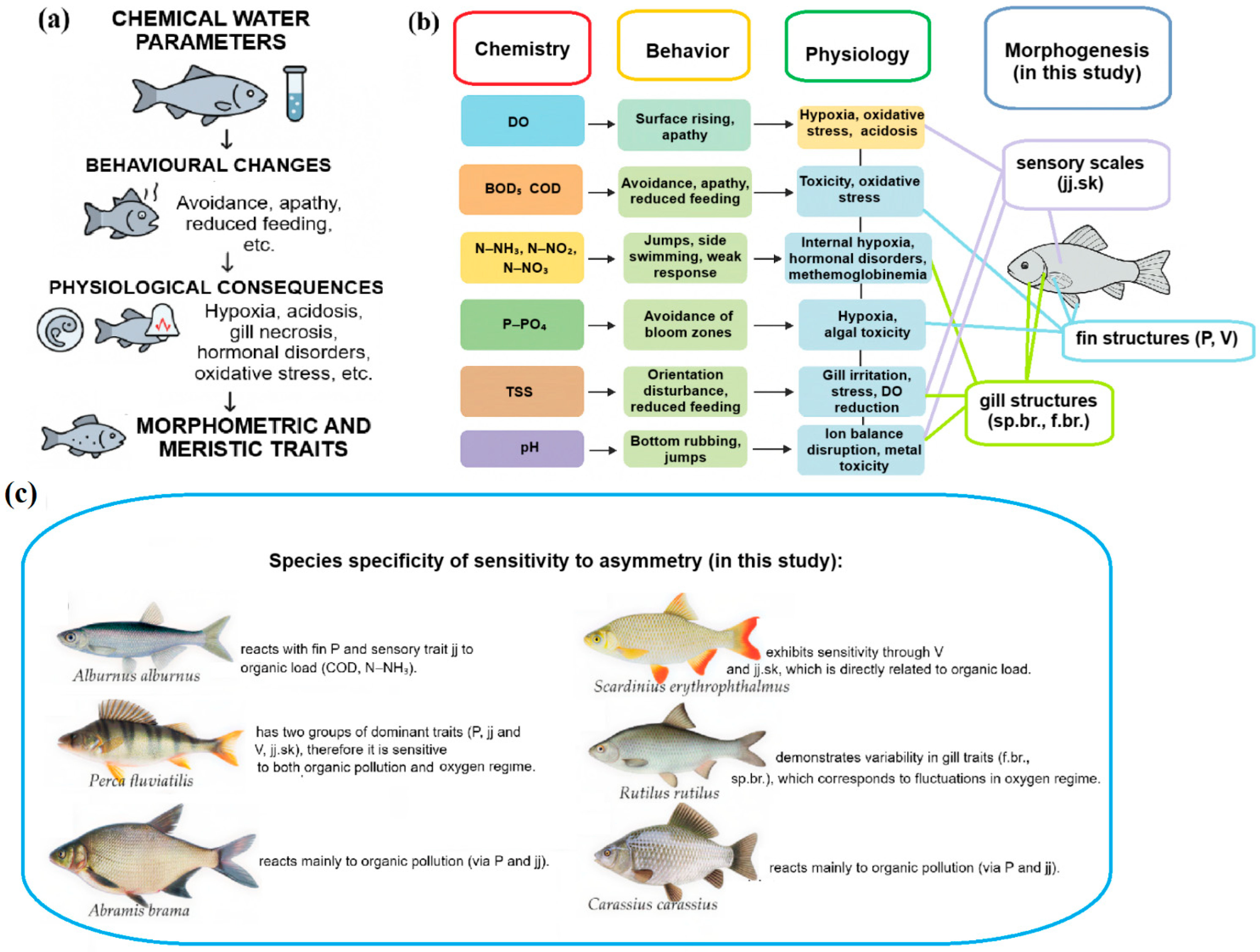 Fishes 10 00561 g012 Fishes 10 00561 g012
