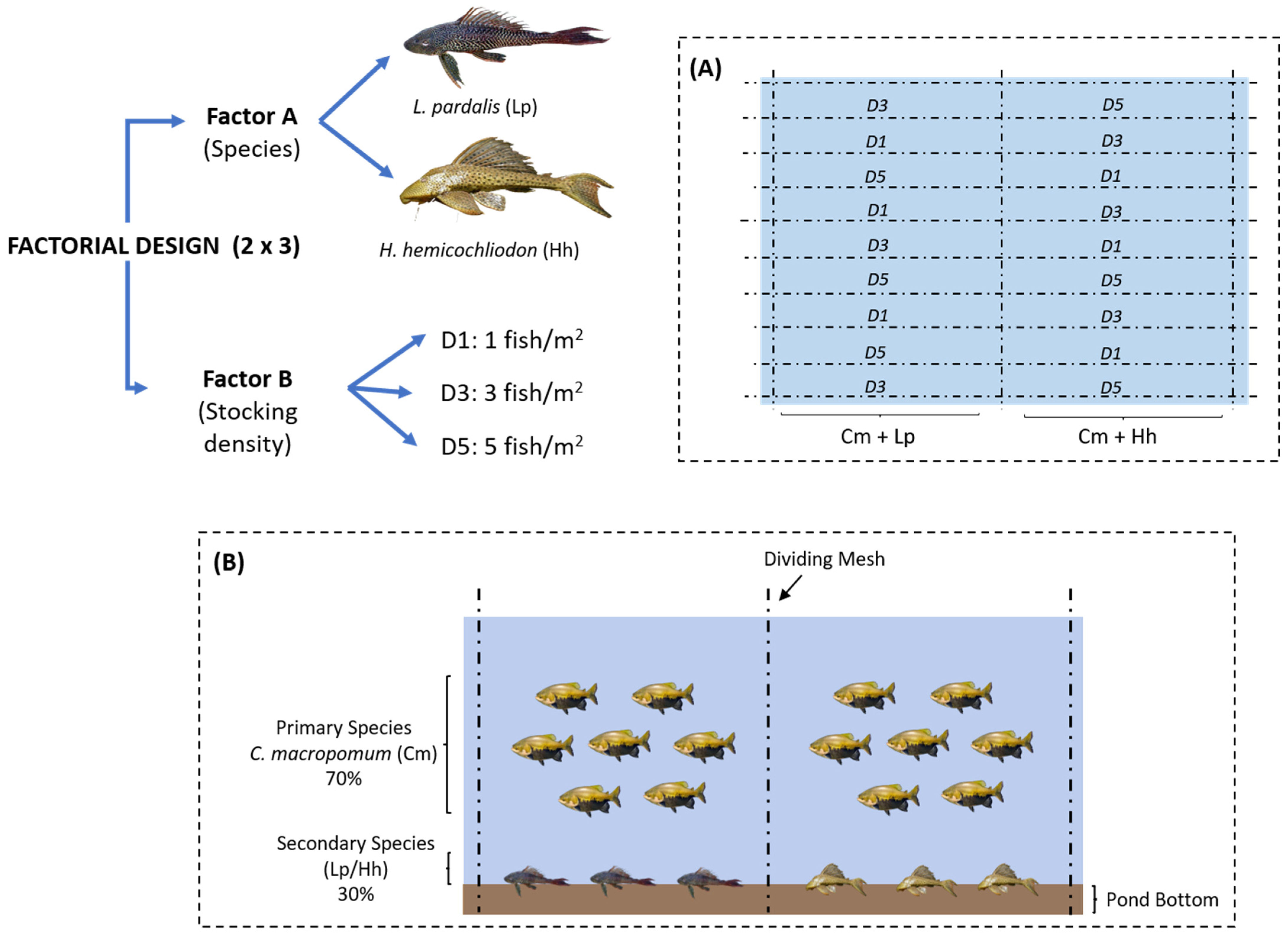 Fishes 10 00563 g001