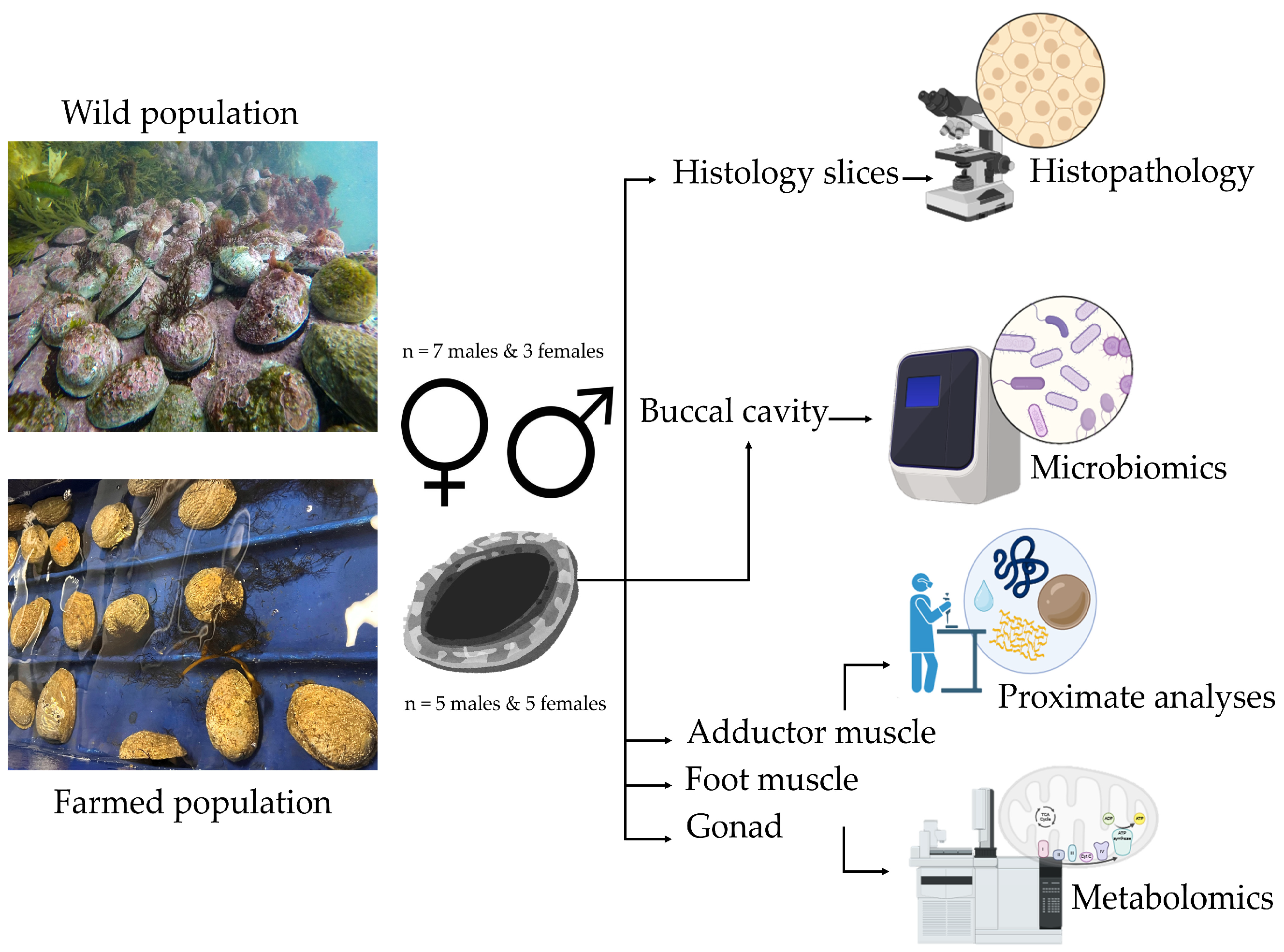 Fishes 10 00566 g001