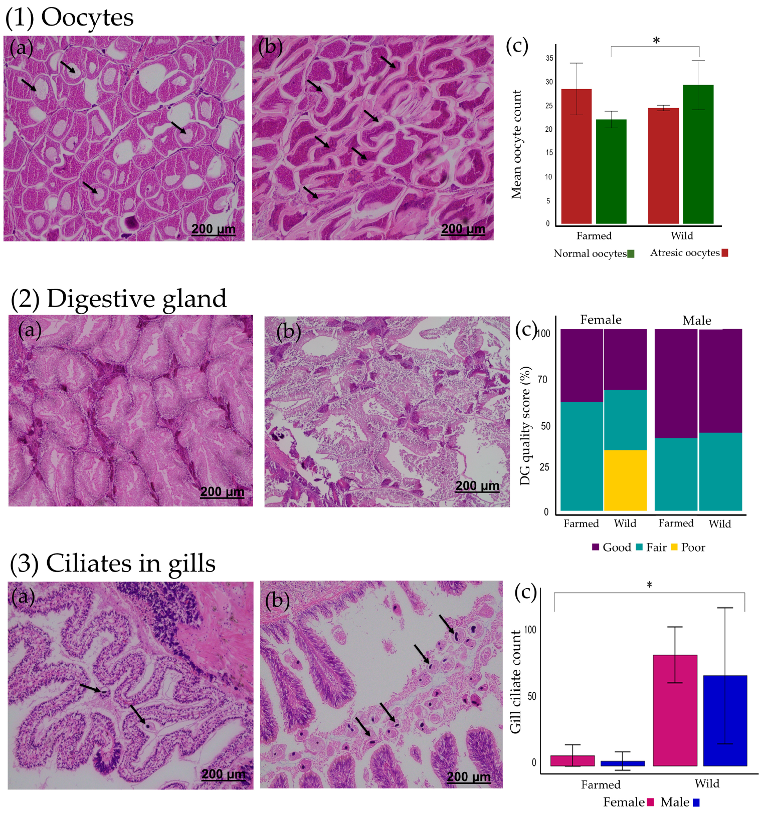 Fishes 10 00566 g002