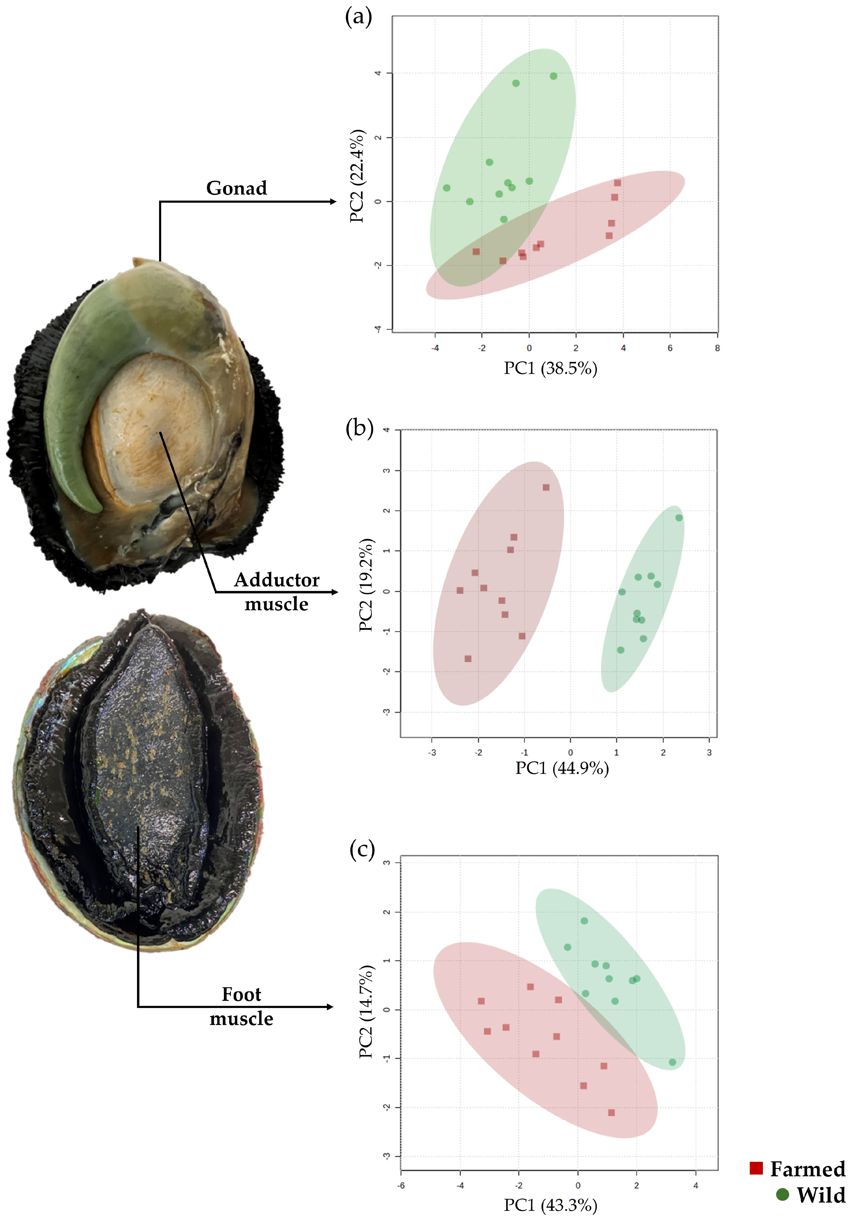Fishes 10 00566 g006