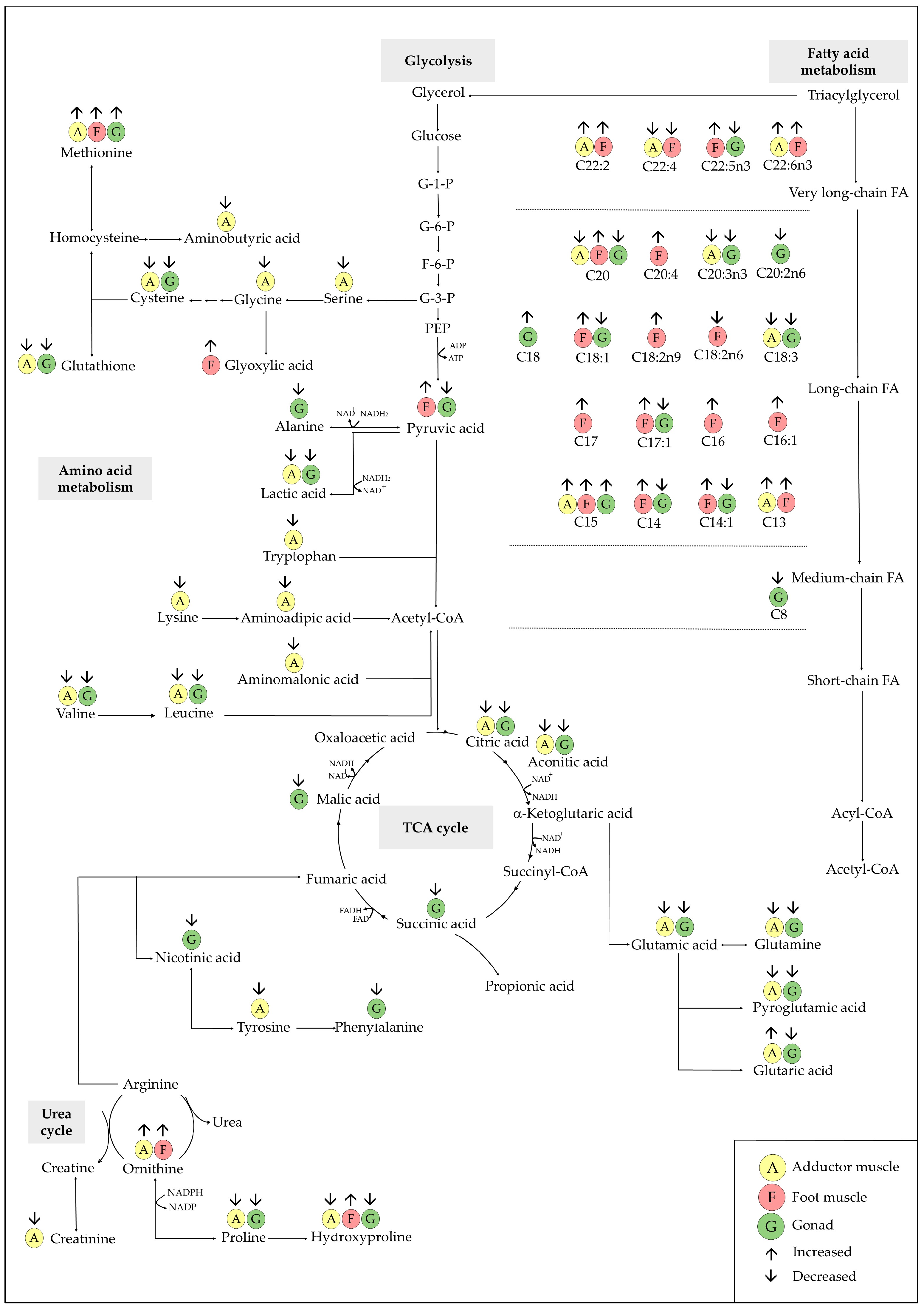 Fishes 10 00566 g007