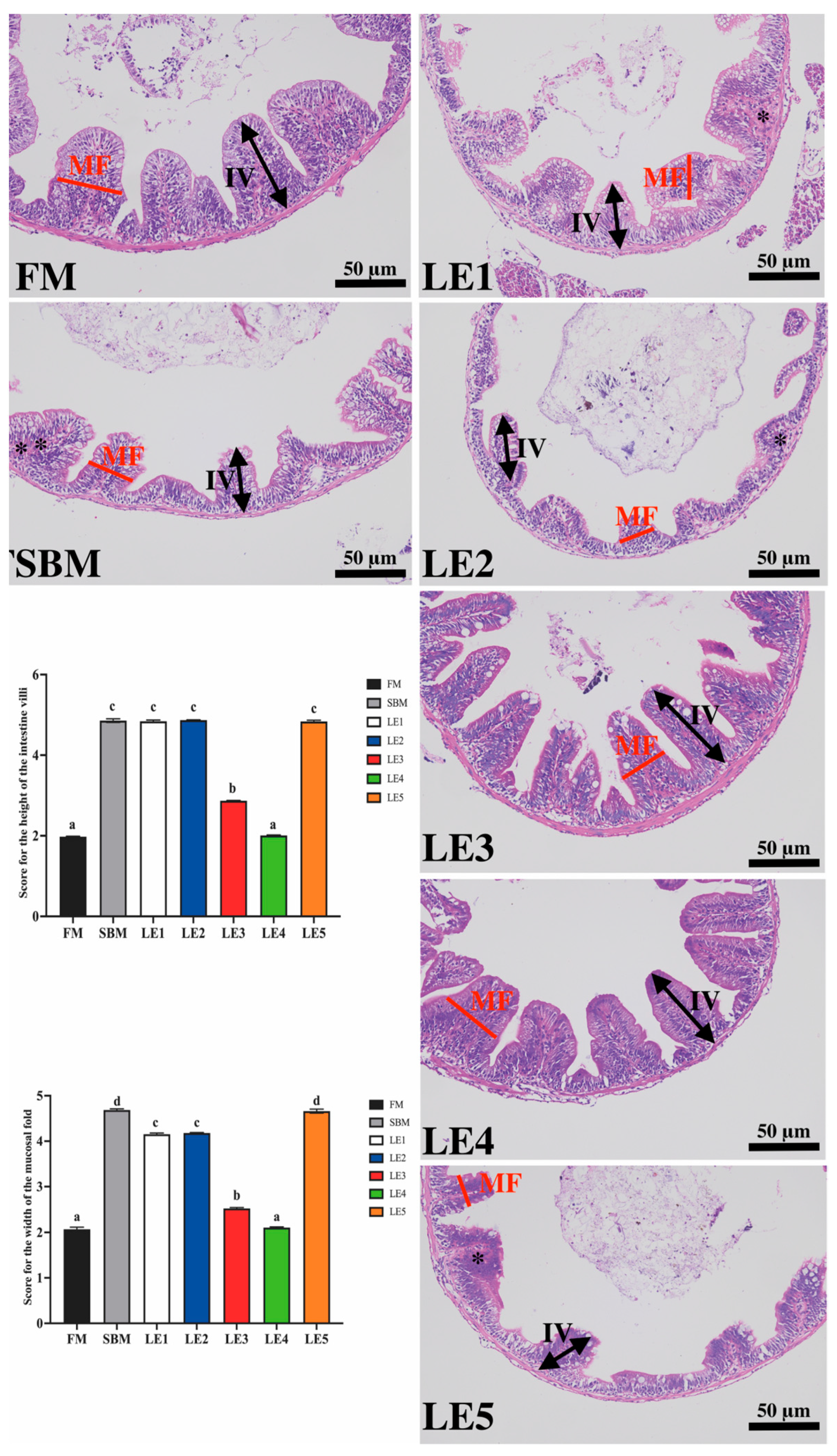 Fishes 10 00567 g002
