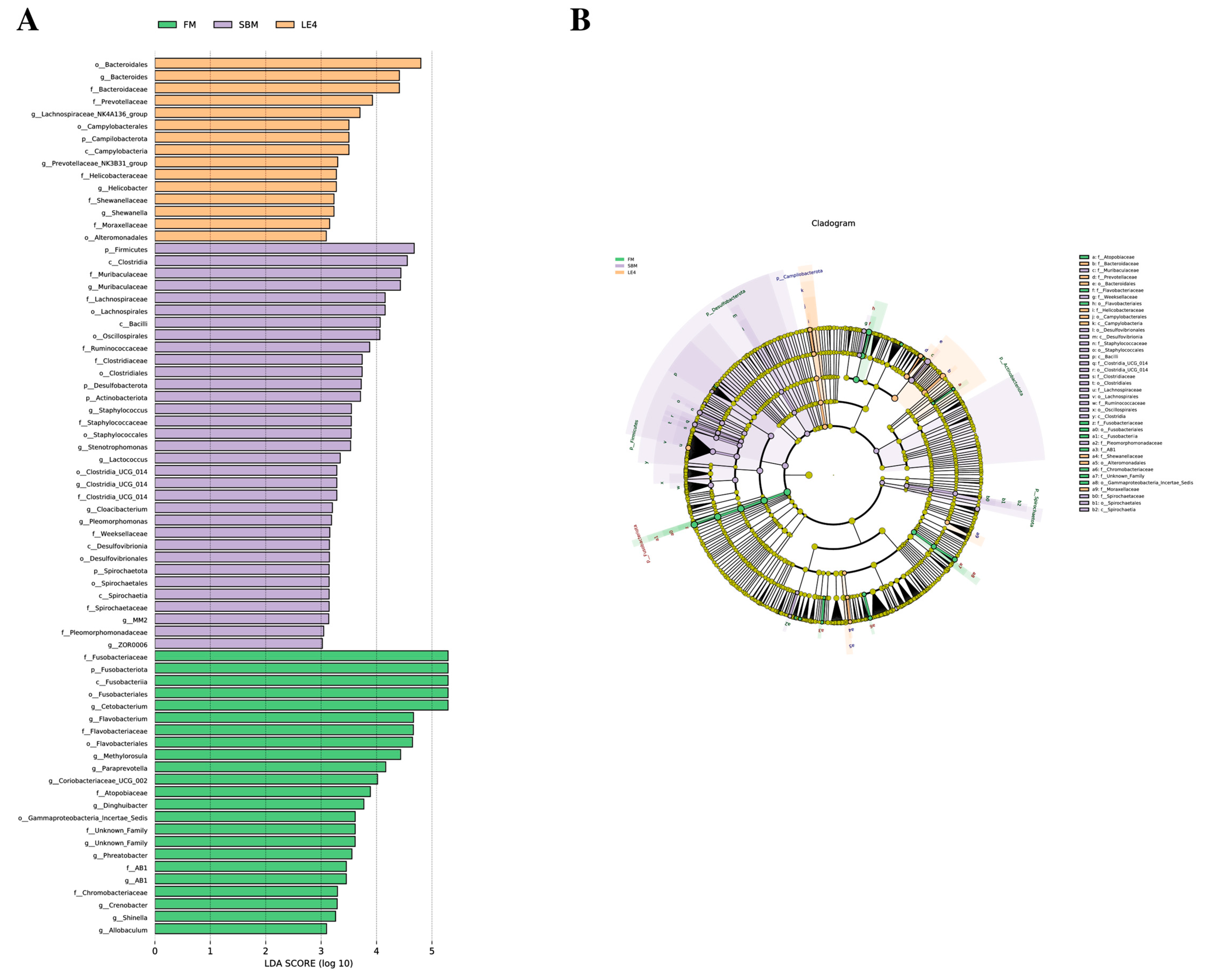Fishes 10 00567 g005