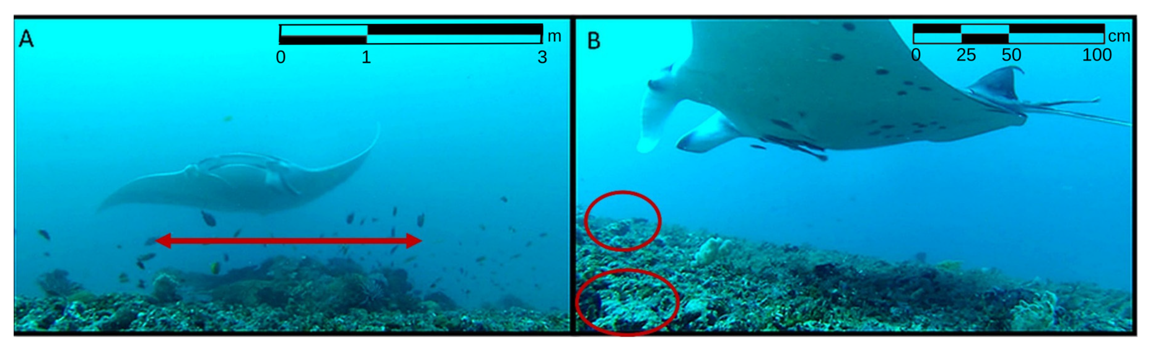 Fishes 10 00568 g002