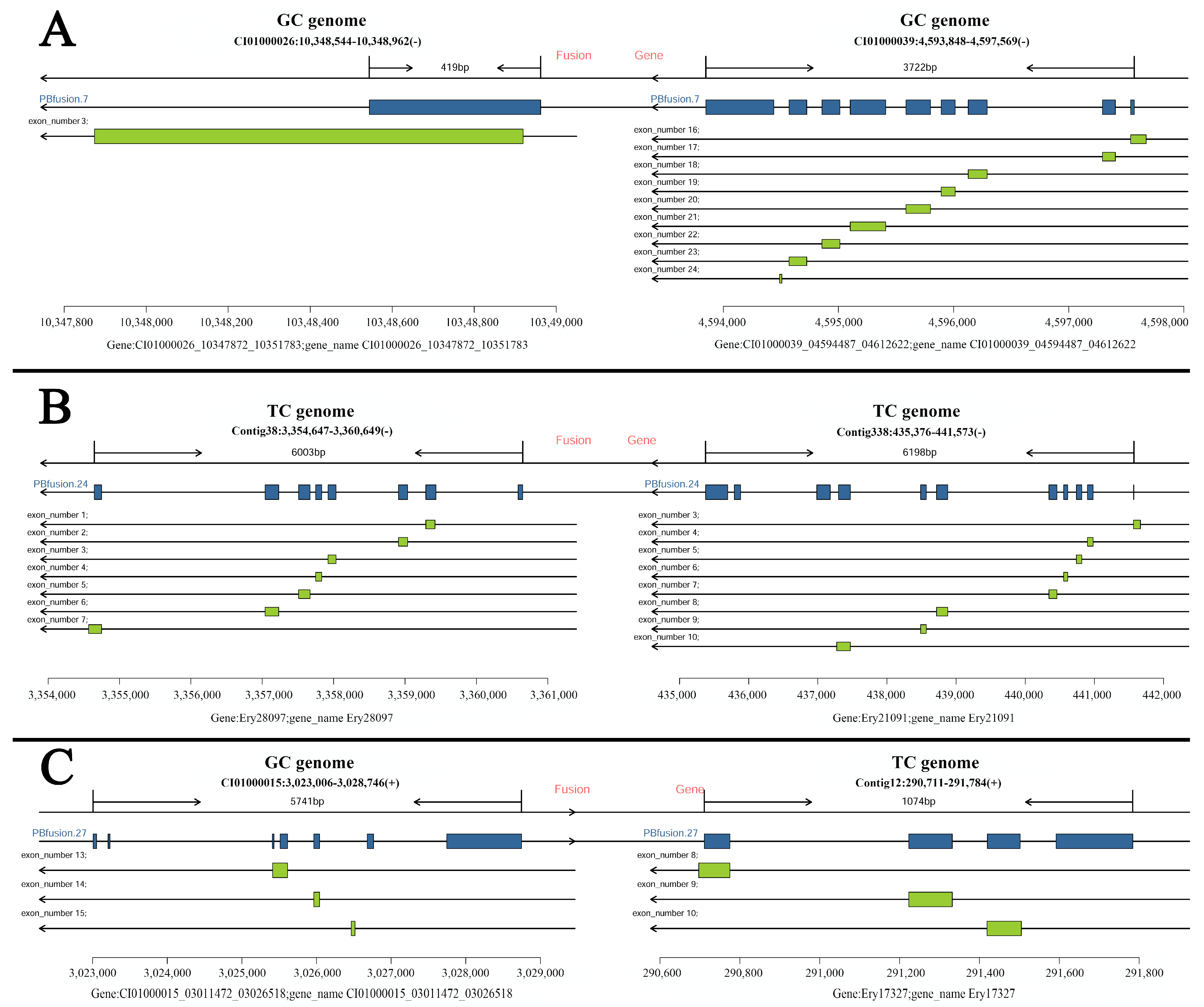 Fishes 10 00570 g002 Fishes 10 00570 g002