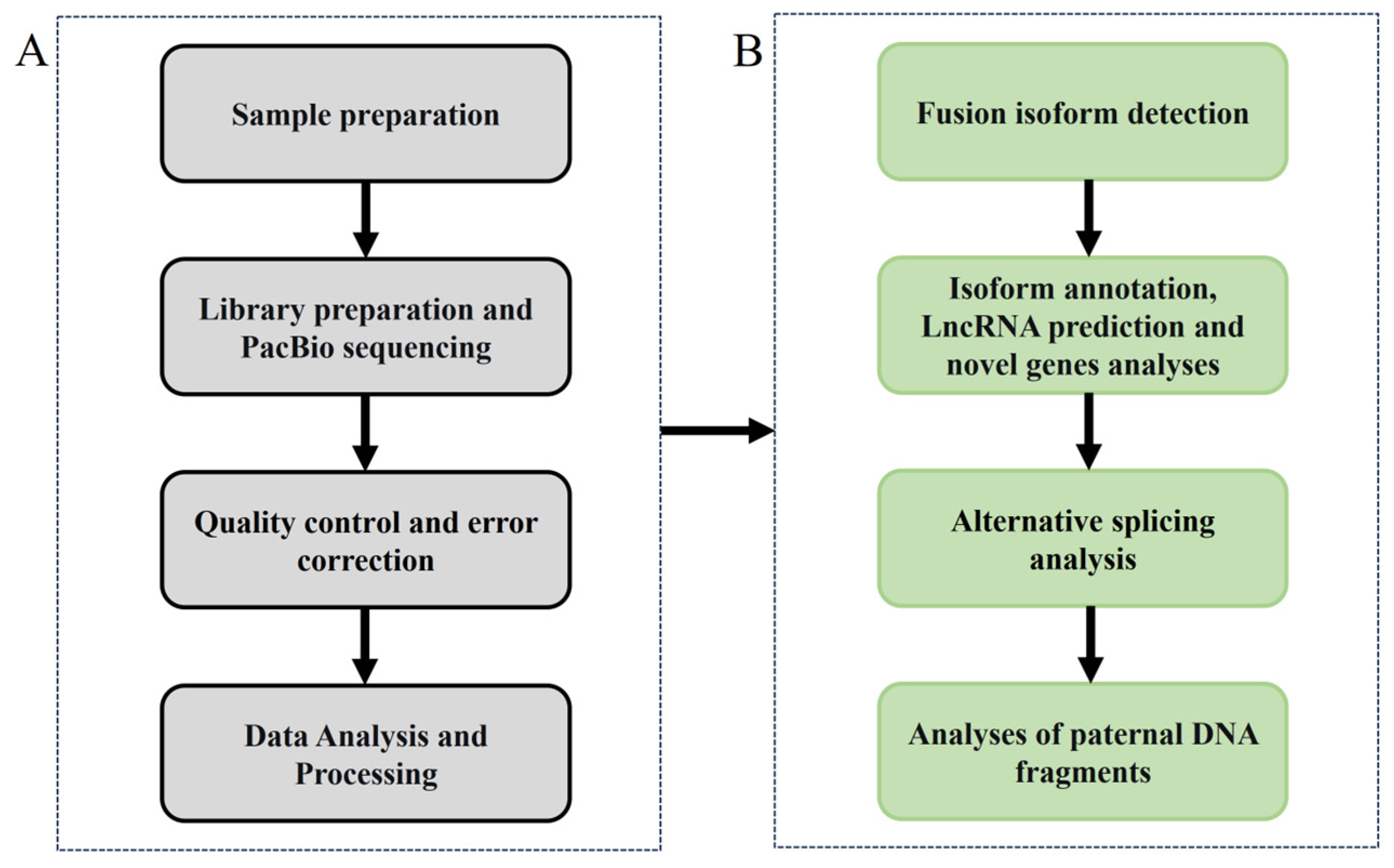 Fishes 10 00570 g005 Fishes 10 00570 g005