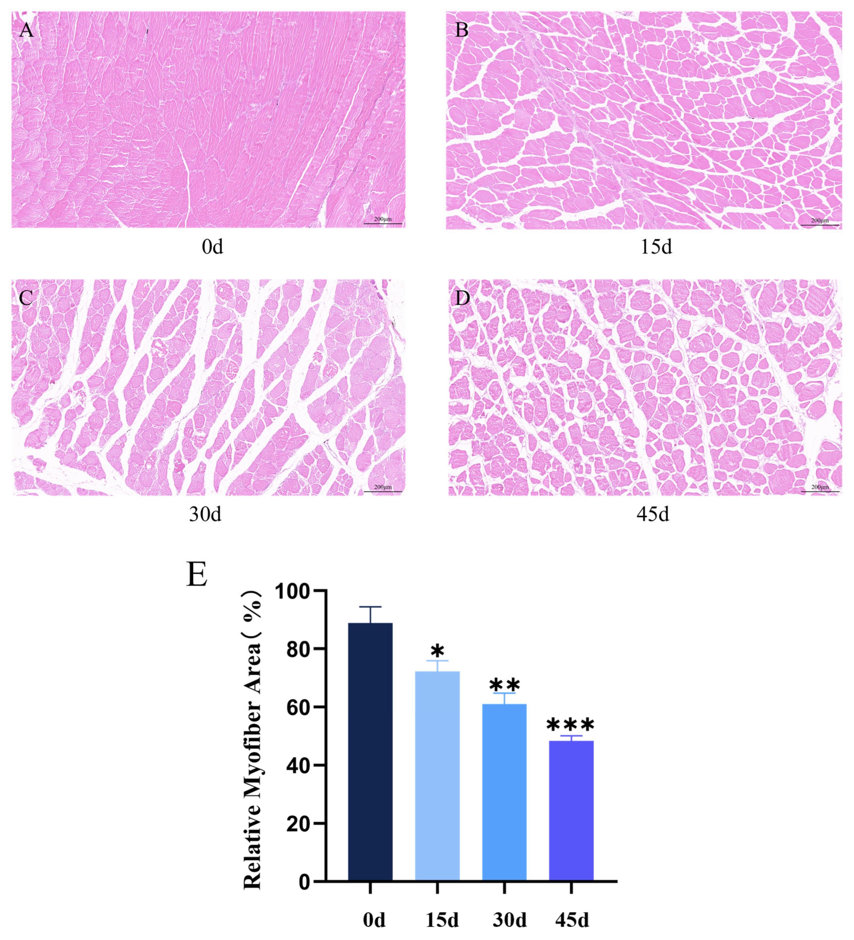 Fishes 10 00572 g005
