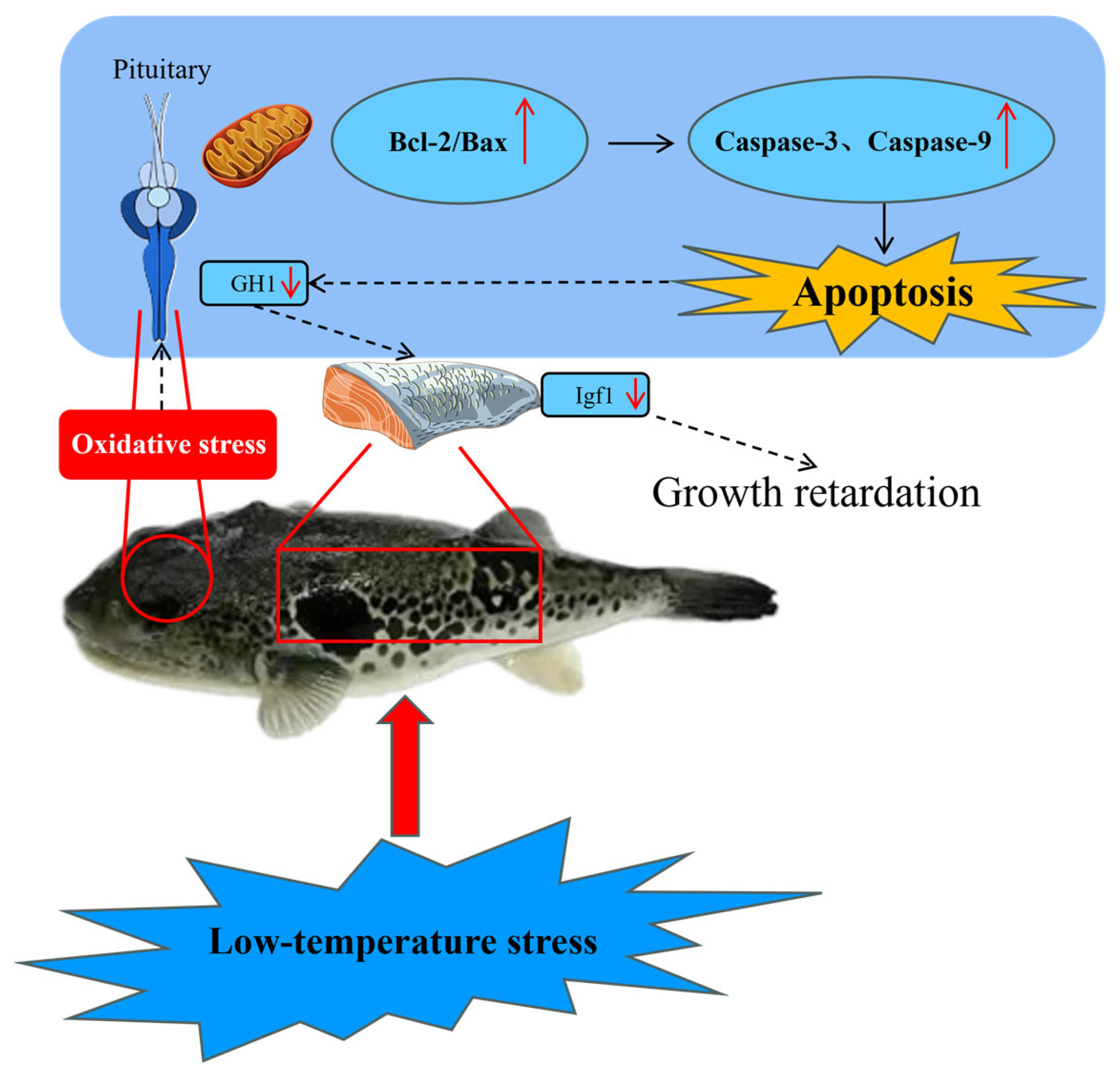 Fishes 10 00572 g007