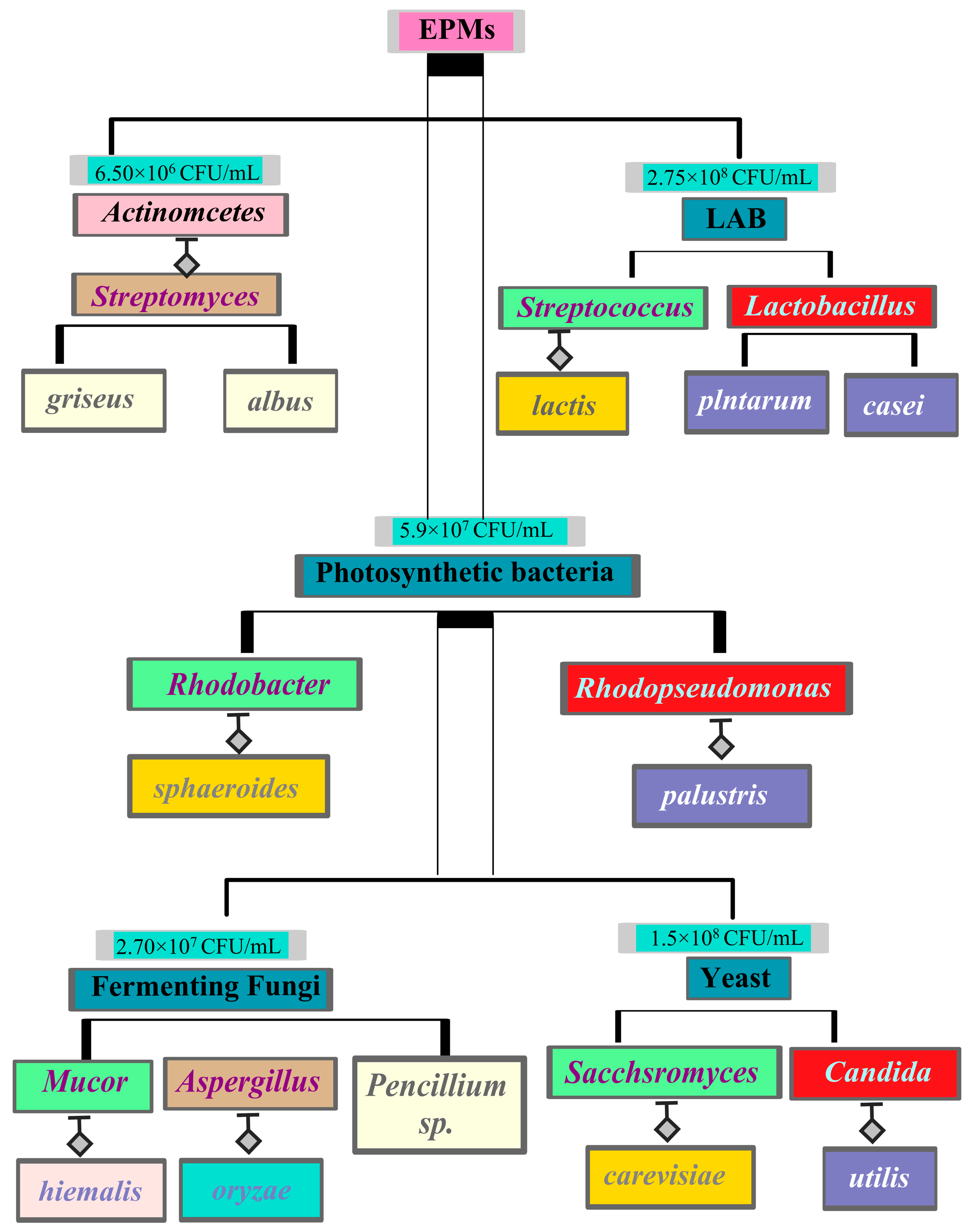 Fishes 10 00573 g001