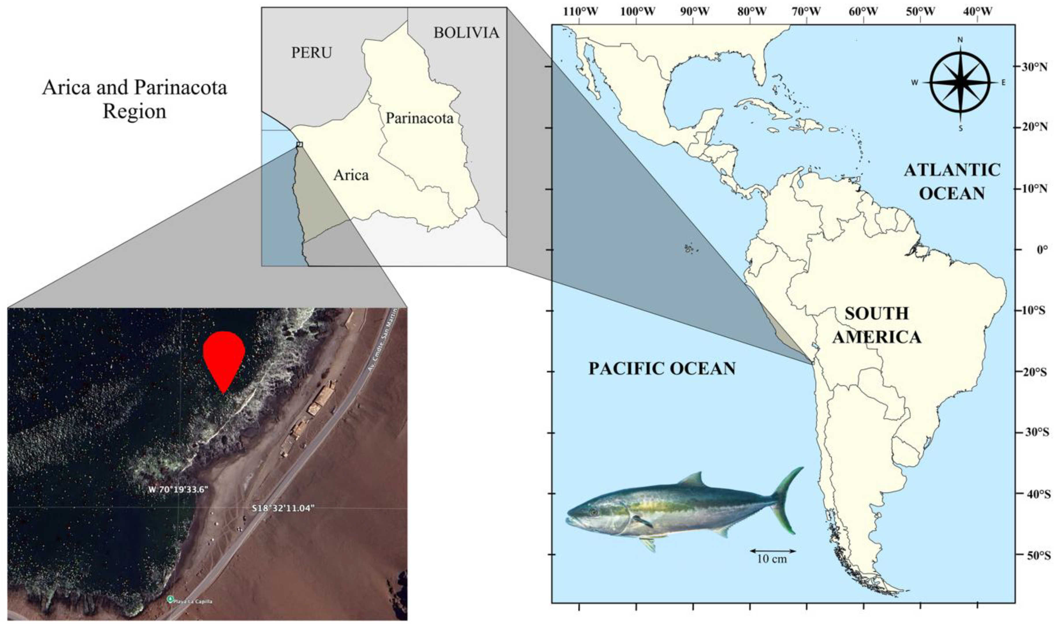 Fishes 10 00579 g001