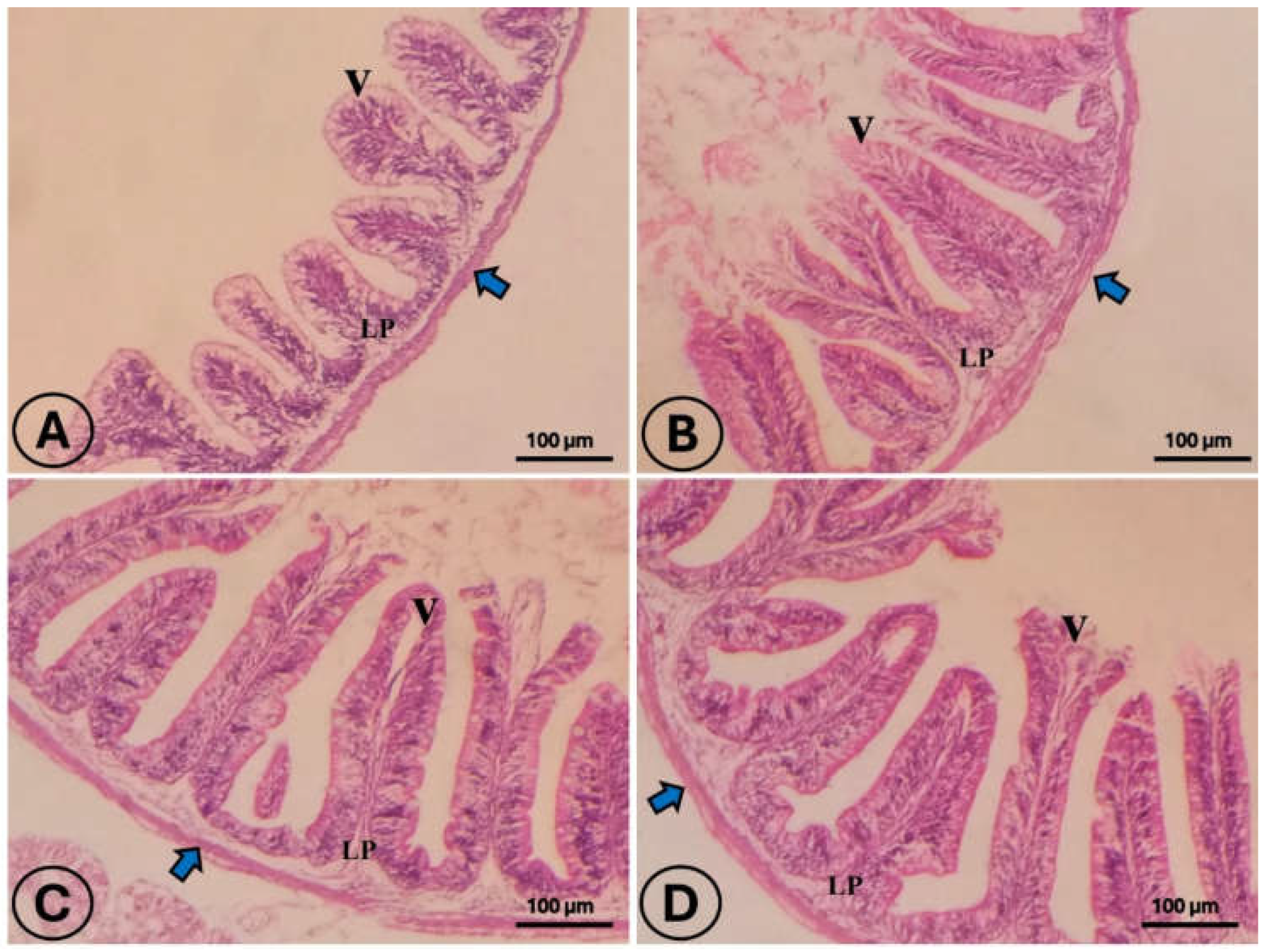 Fishes 10 00580 g001