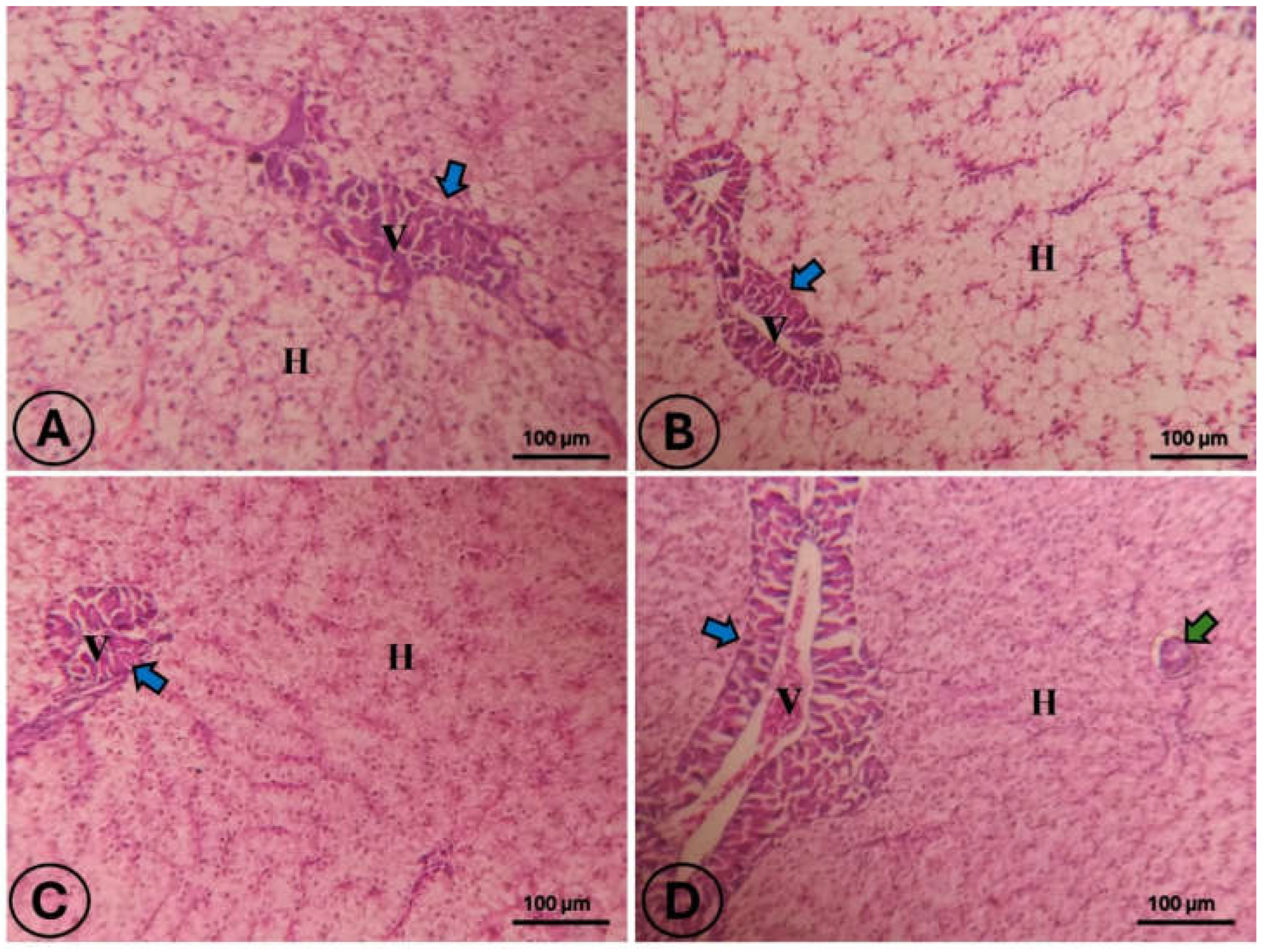 Fishes 10 00580 g002