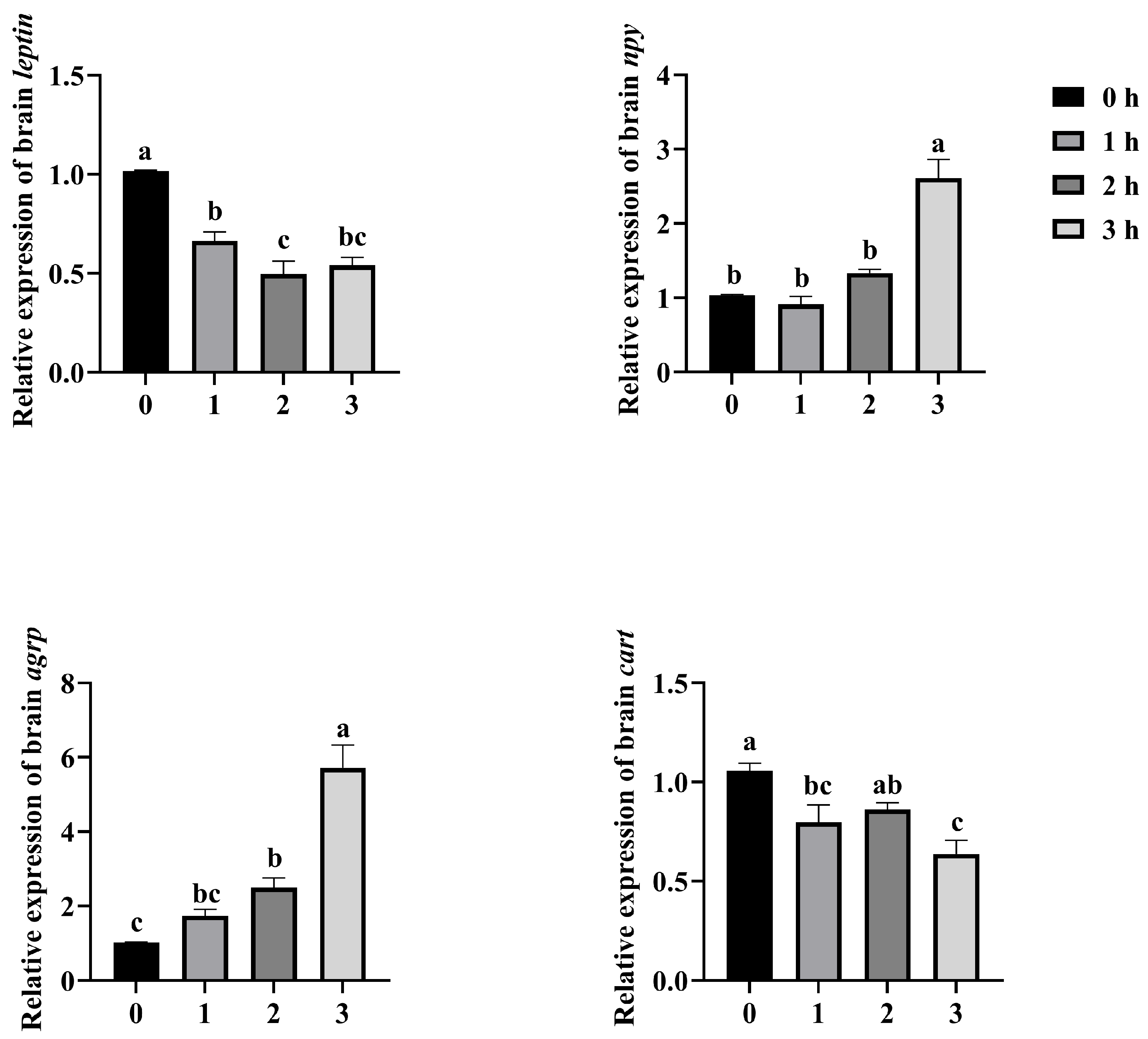Fishes 10 00581 g004