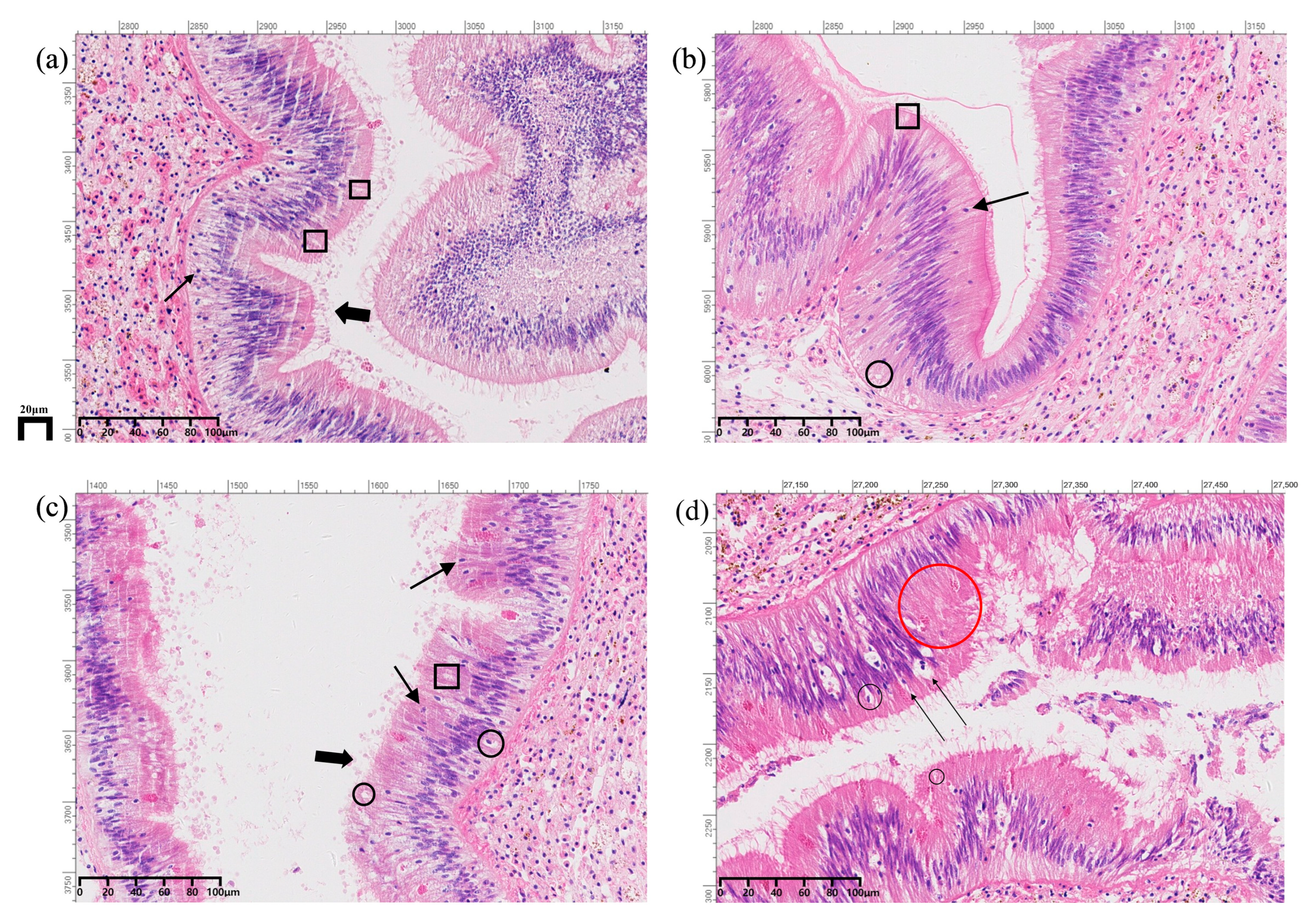 Fishes 10 00584 g001 Fishes 10 00584 g001