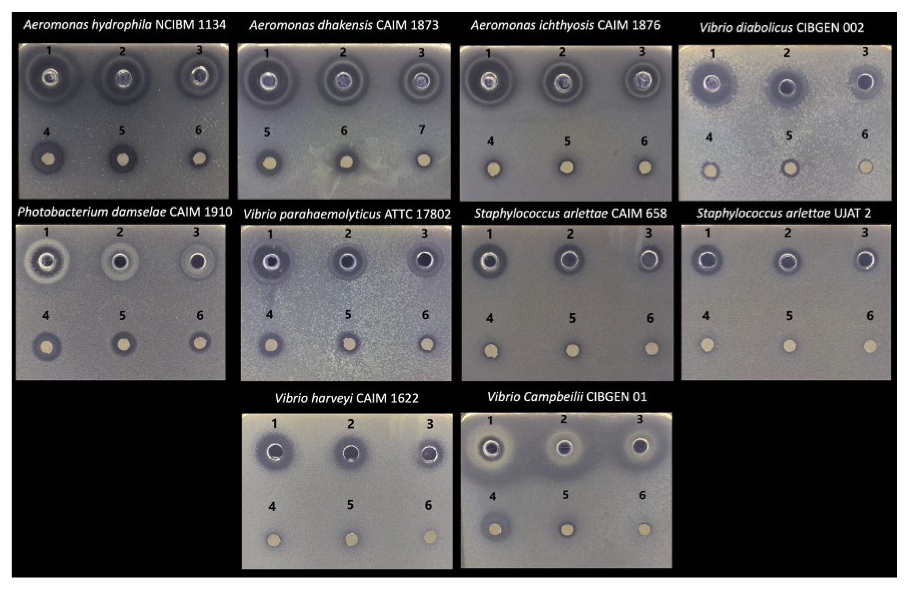 Fishes 10 00586 g001
