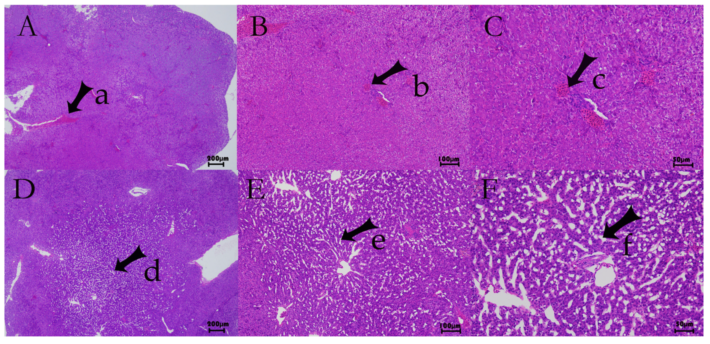 Fishes 10 00587 g001