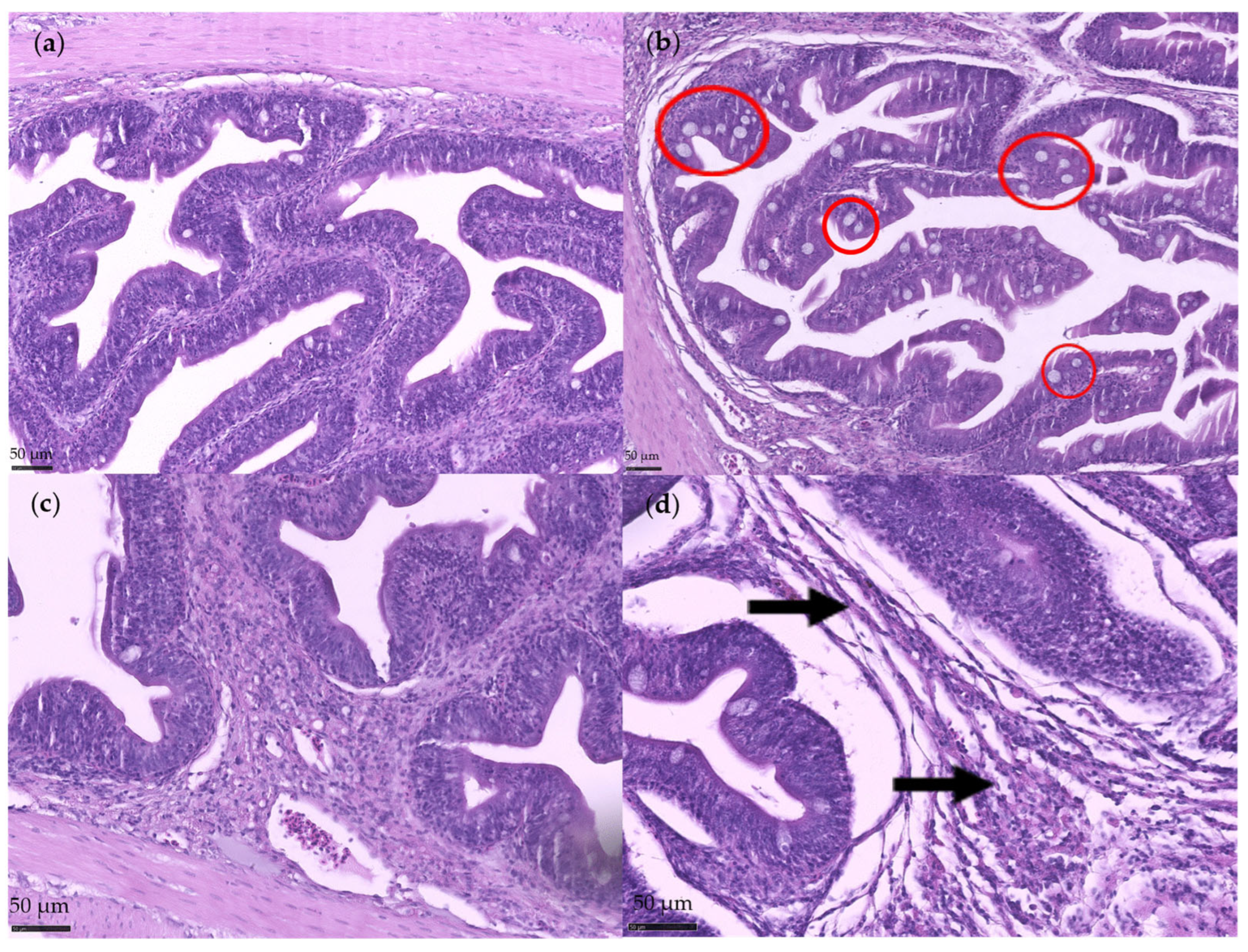 Fishes 10 00588 g001