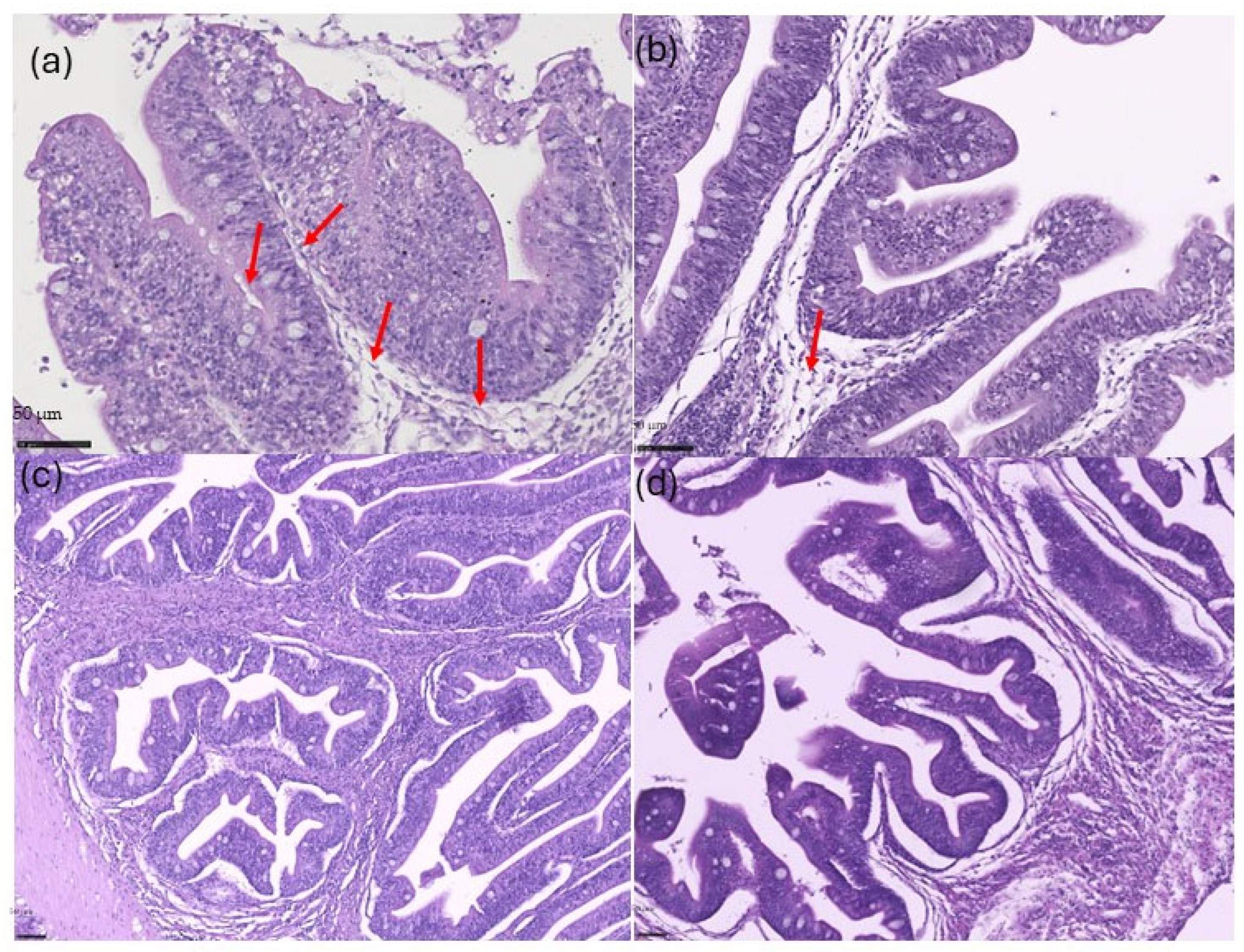 Fishes 10 00588 g002