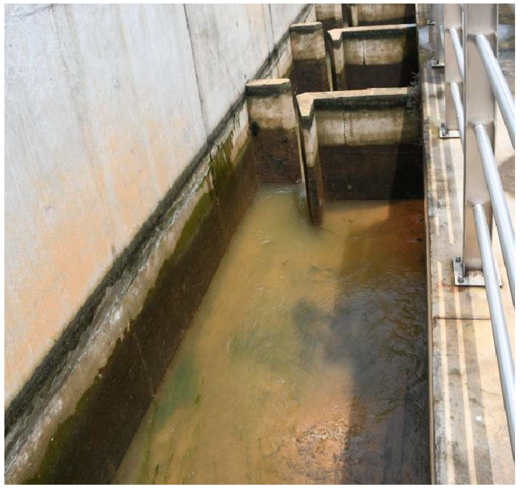 Fishes 10 00590 g001 Fishes 10 00590 g001