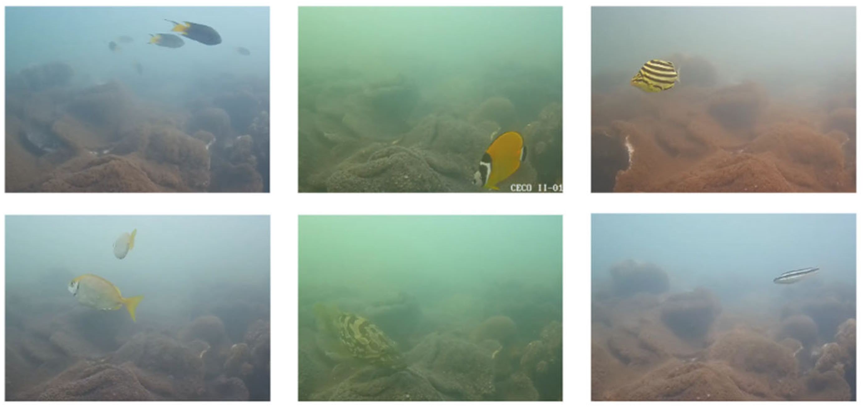 Fishes 10 00592 g005