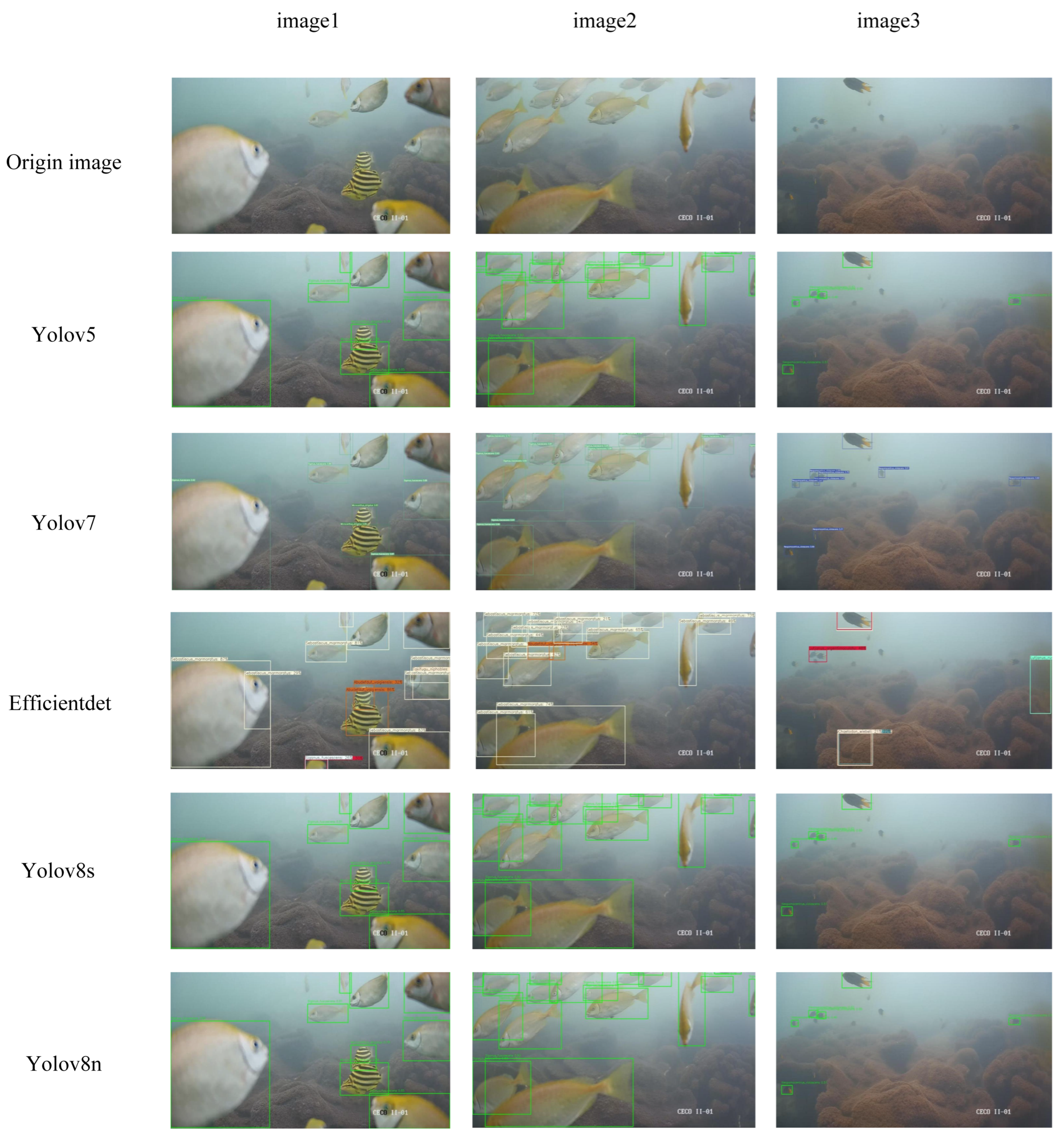 Fishes 10 00592 g006