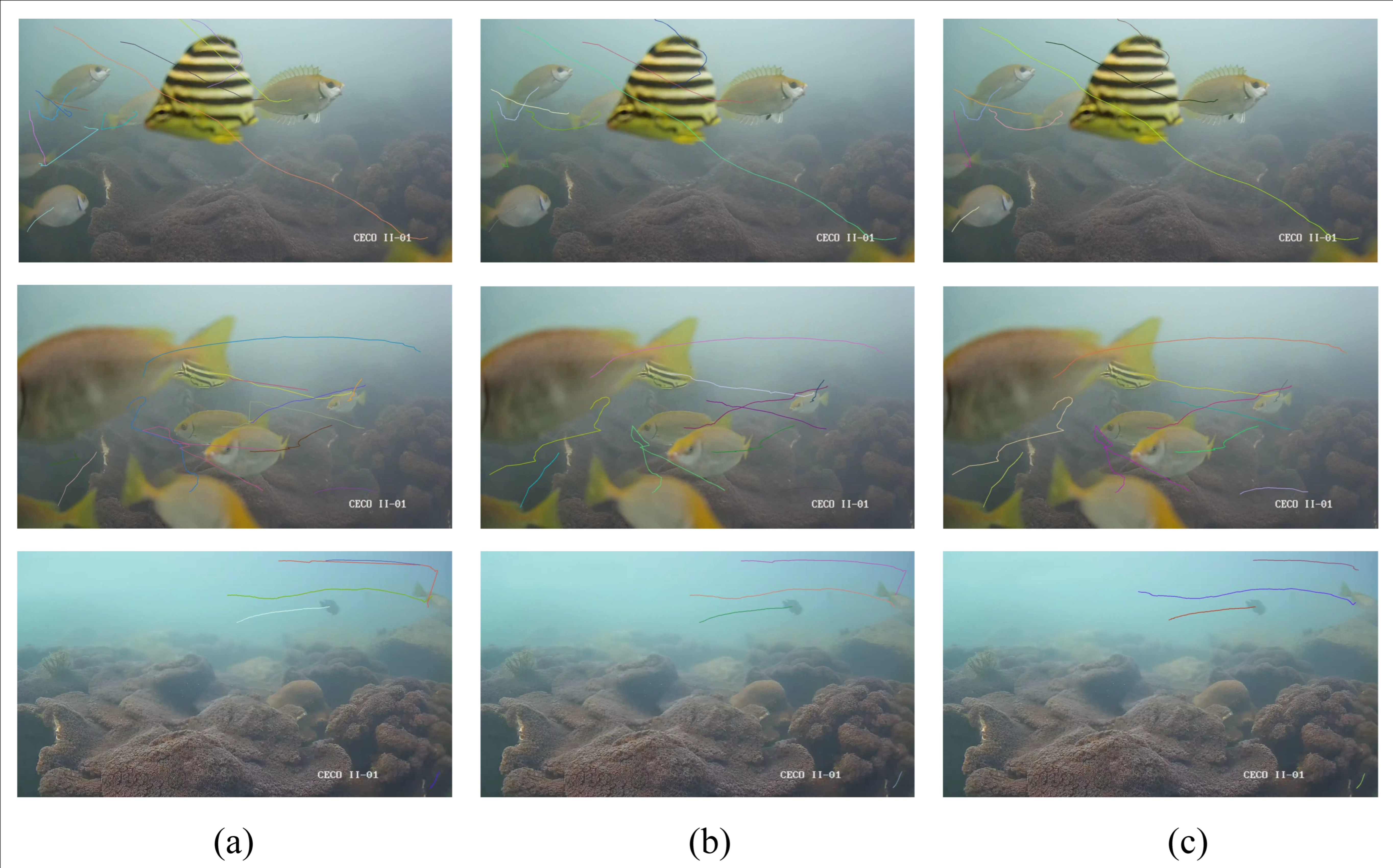 Fishes 10 00592 g008