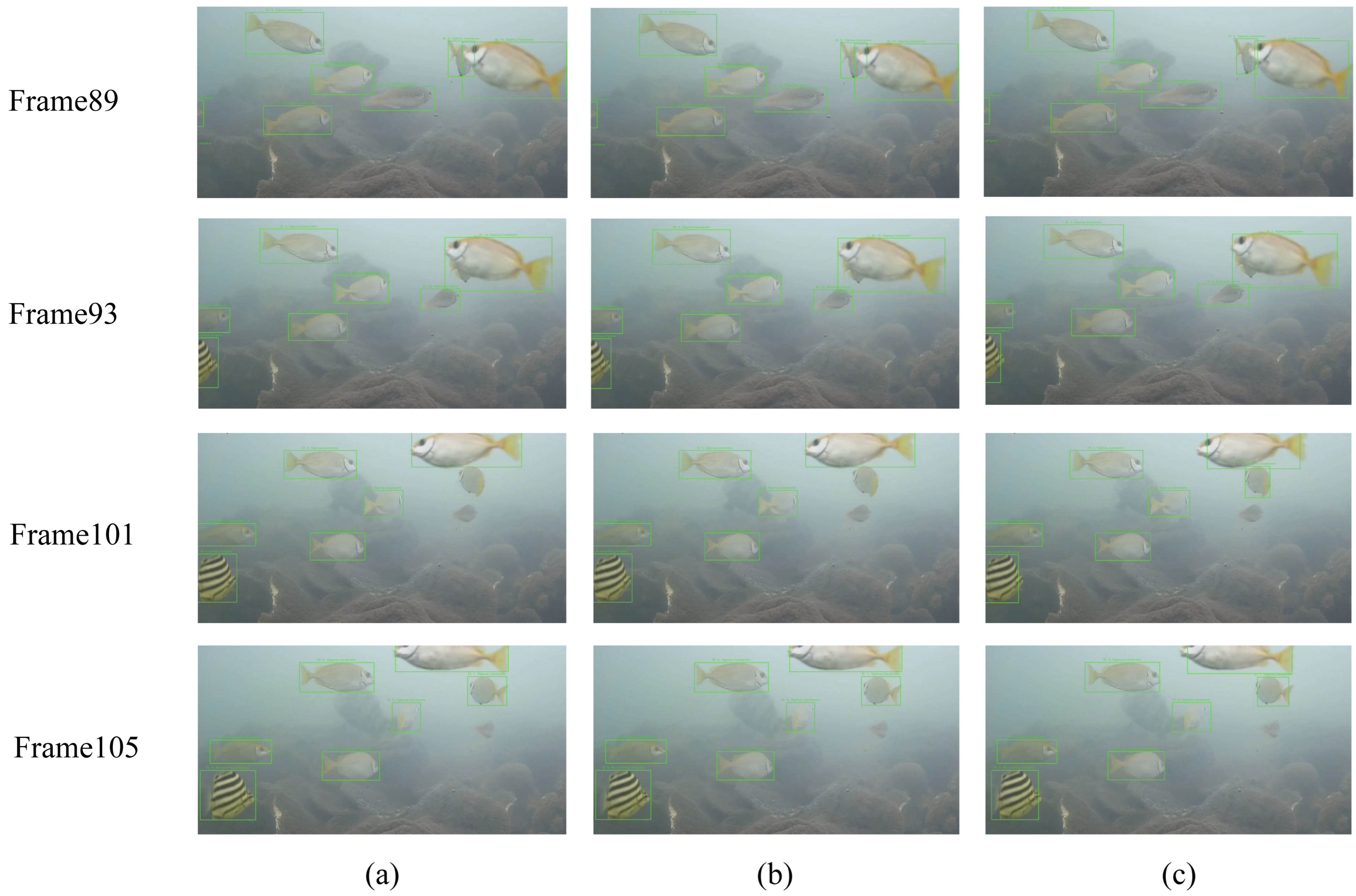 Fishes 10 00592 g009