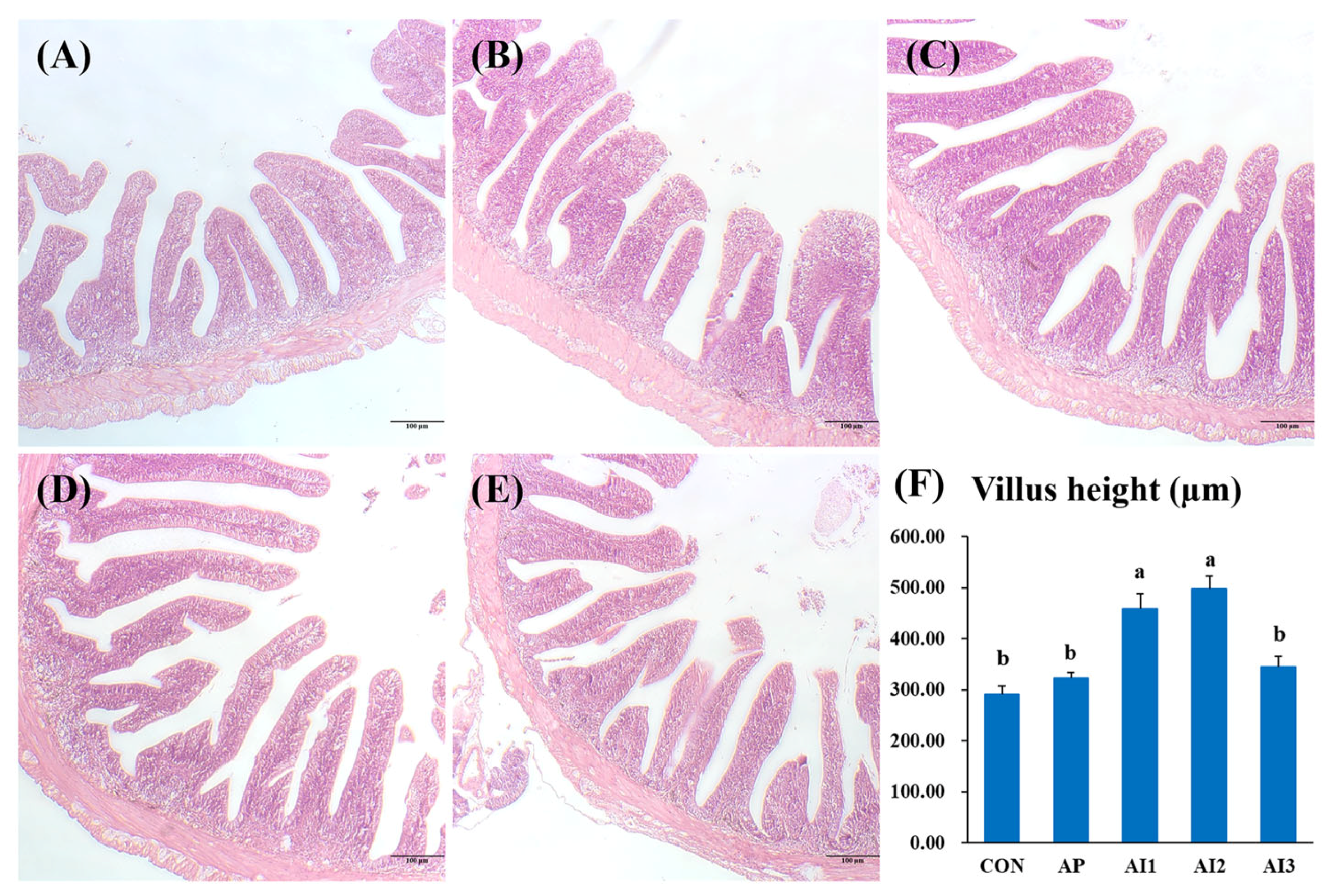 Fishes 10 00593 g001
