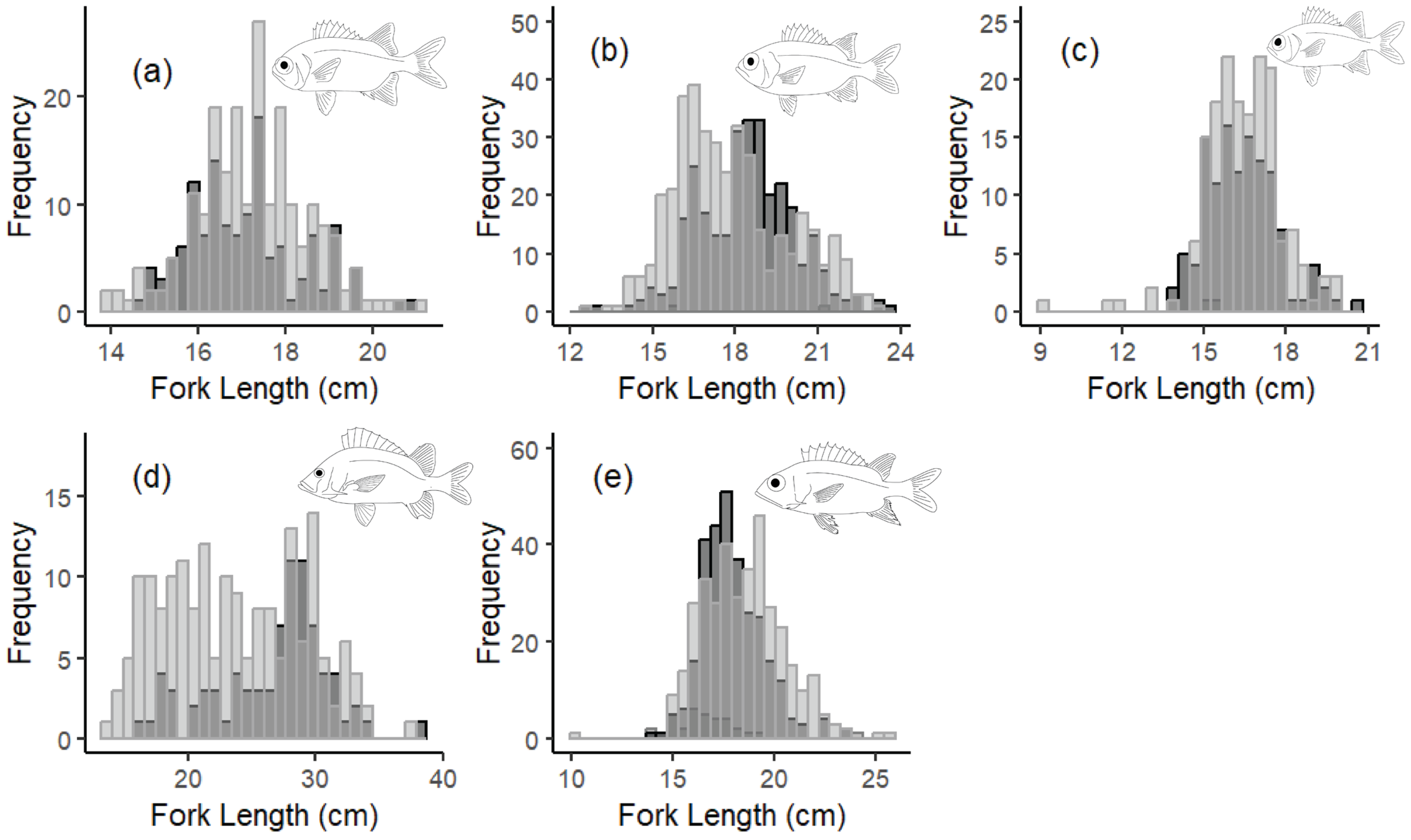 Fishes 10 00596 g001