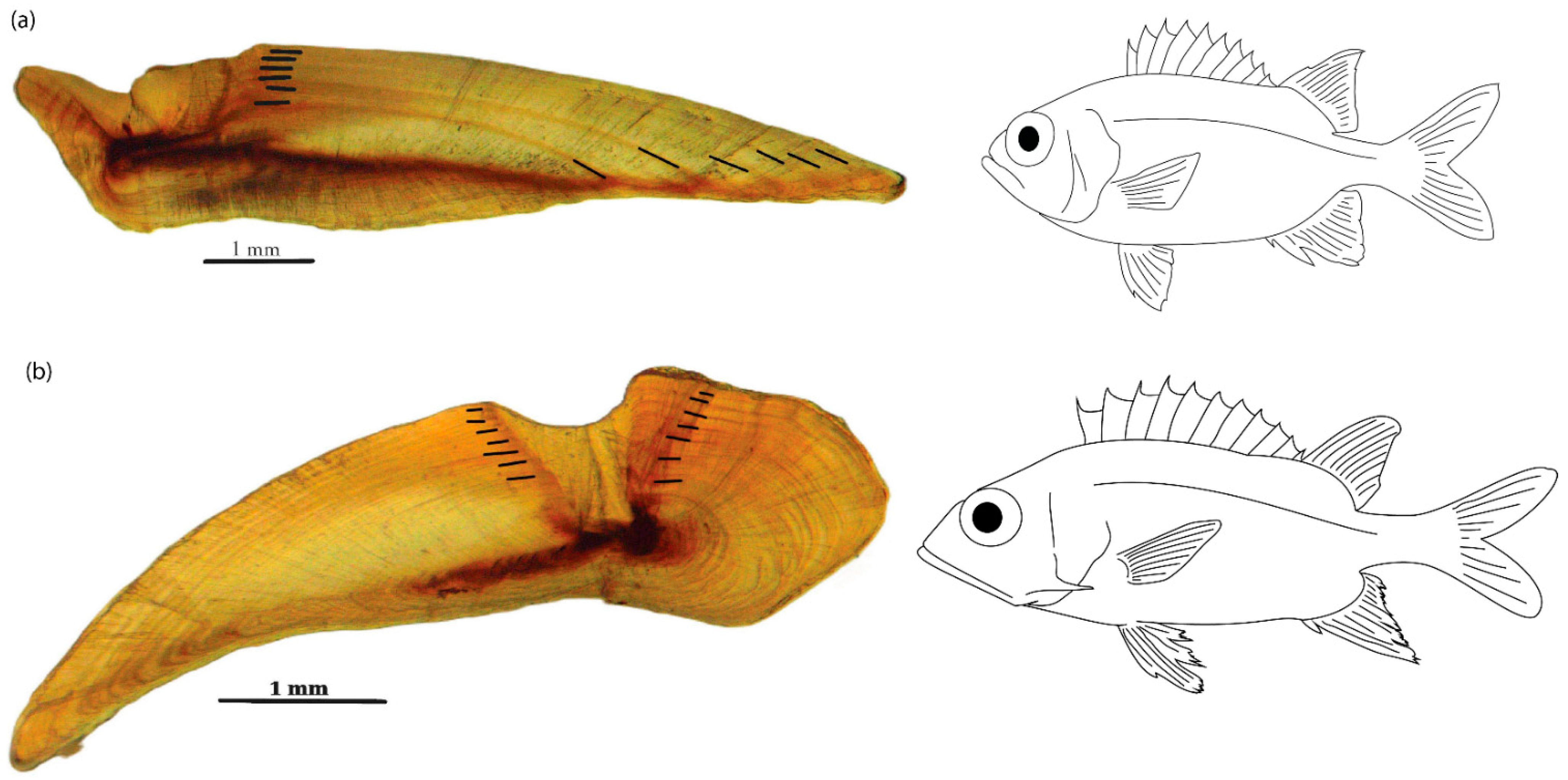 Fishes 10 00596 g002