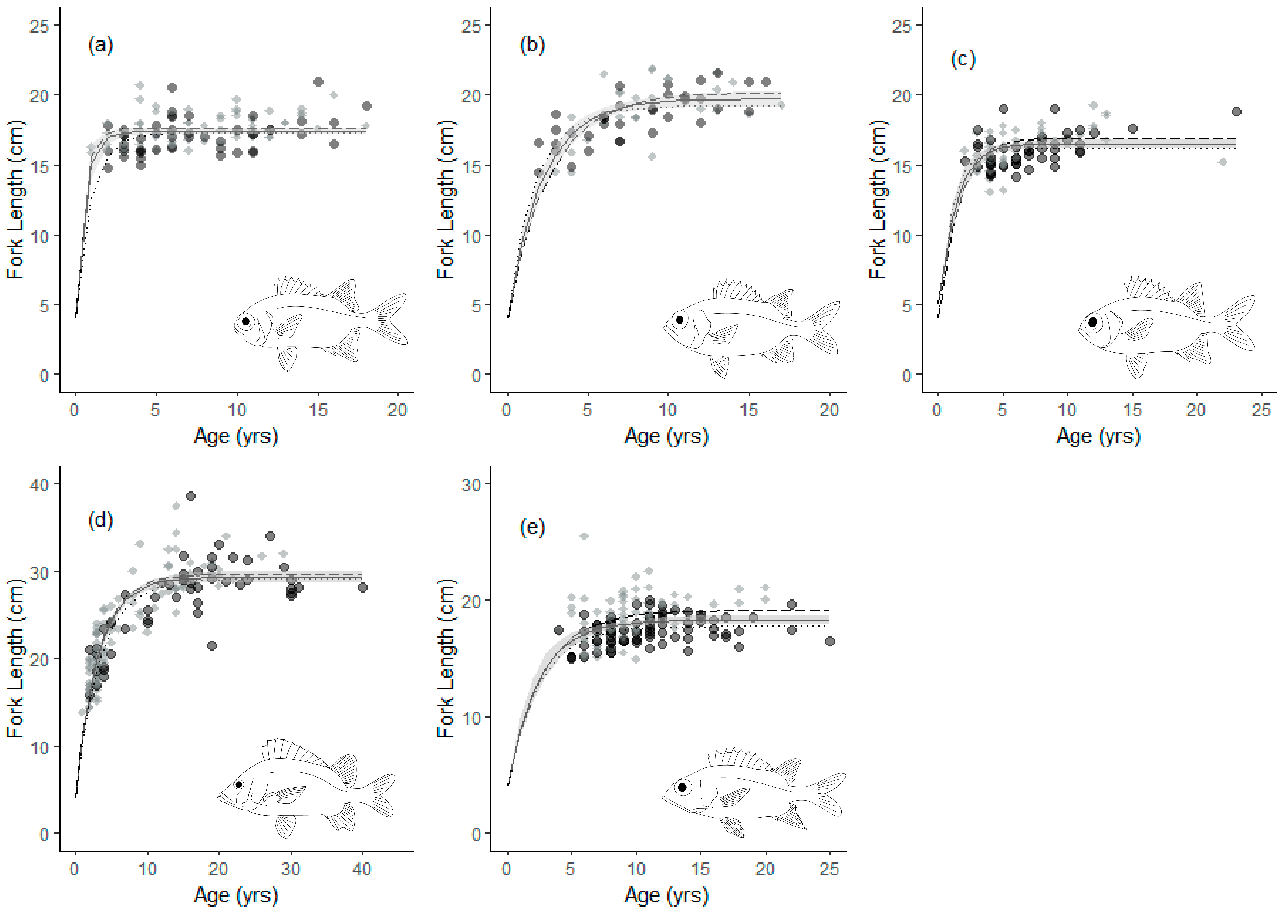 Fishes 10 00596 g004