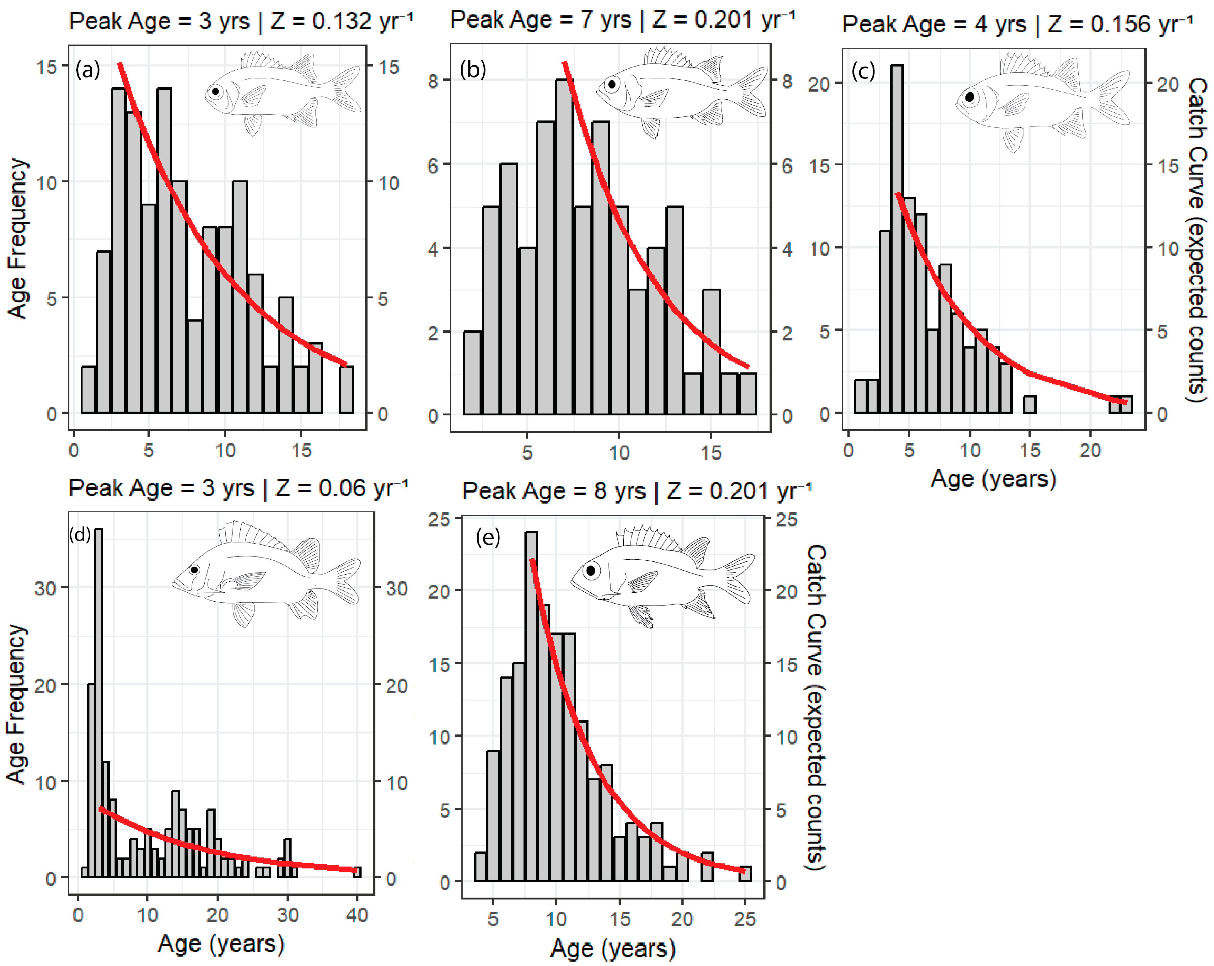 Fishes 10 00596 g008