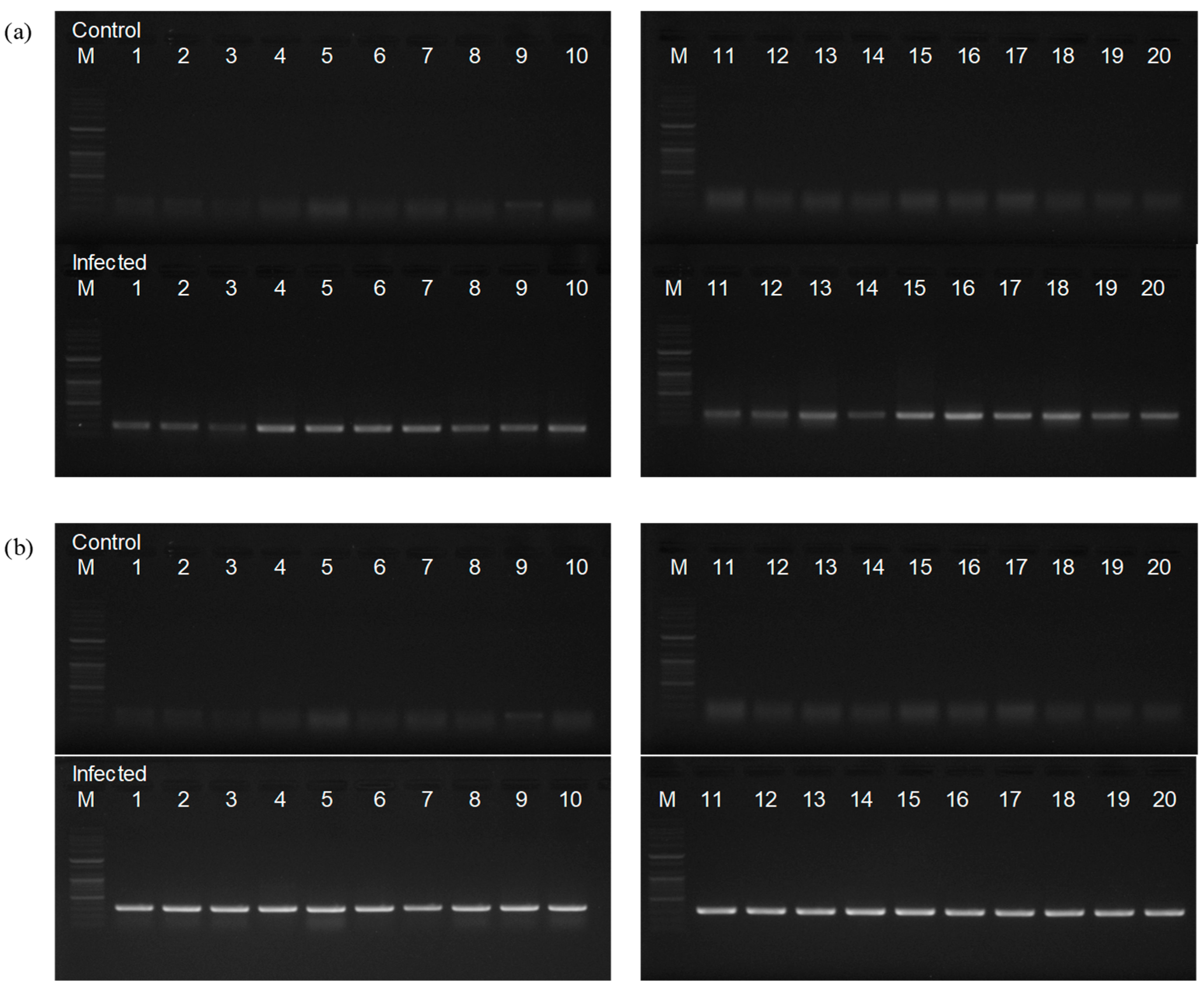 Fishes 10 00601 g002 Fishes 10 00601 g002