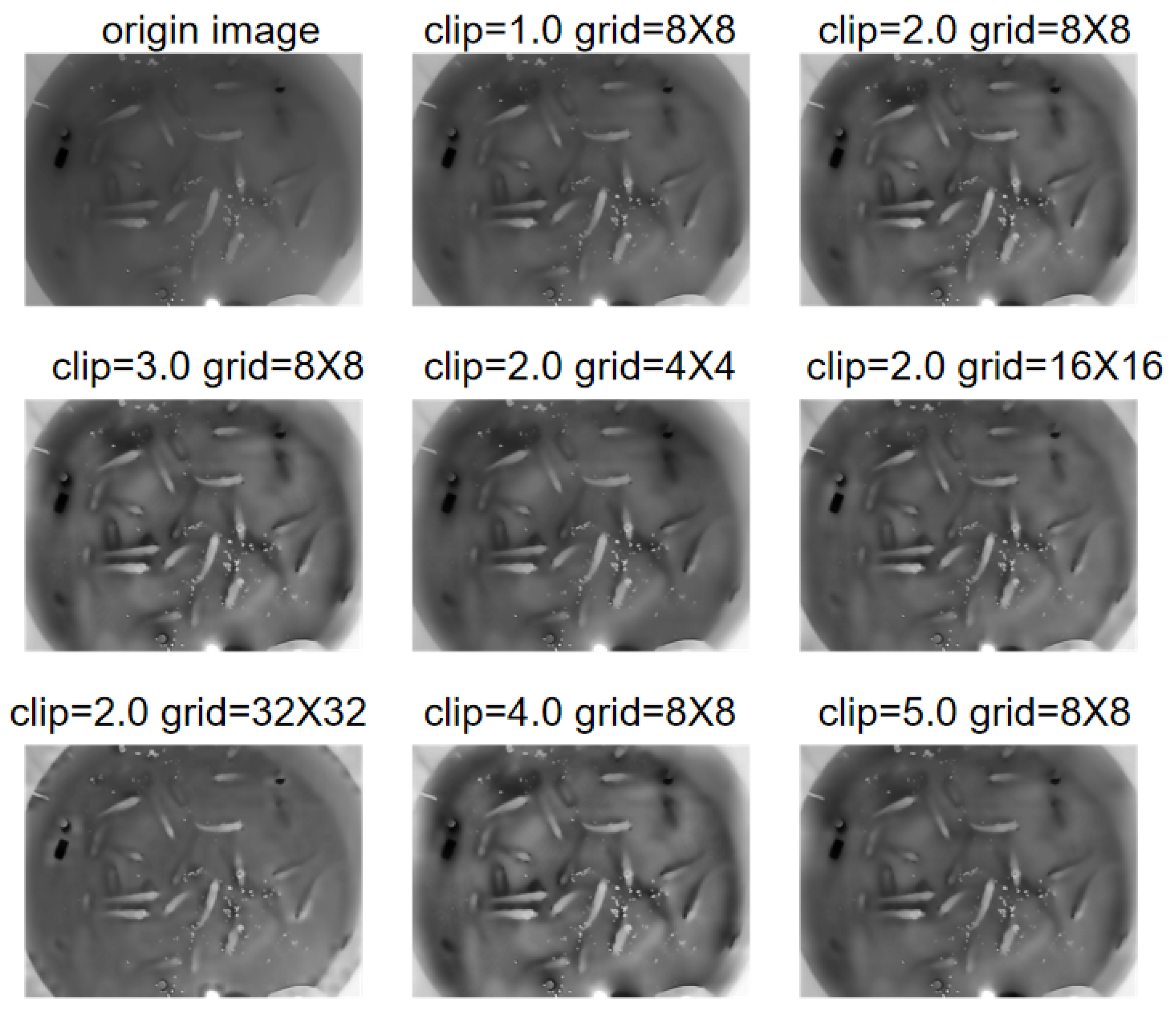 Fishes 10 00602 g002