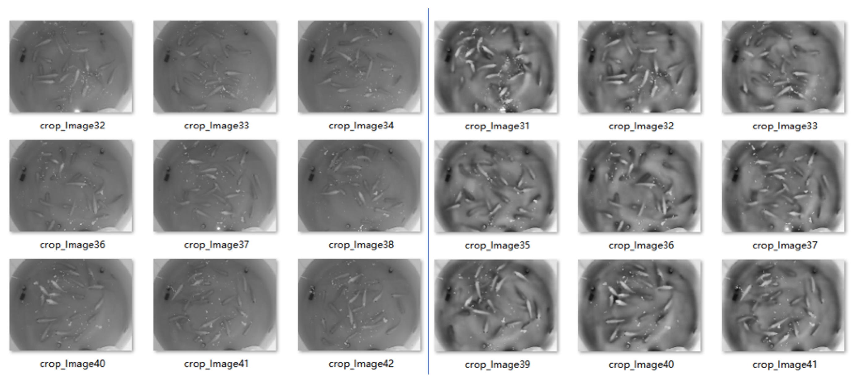 Fishes 10 00602 g003