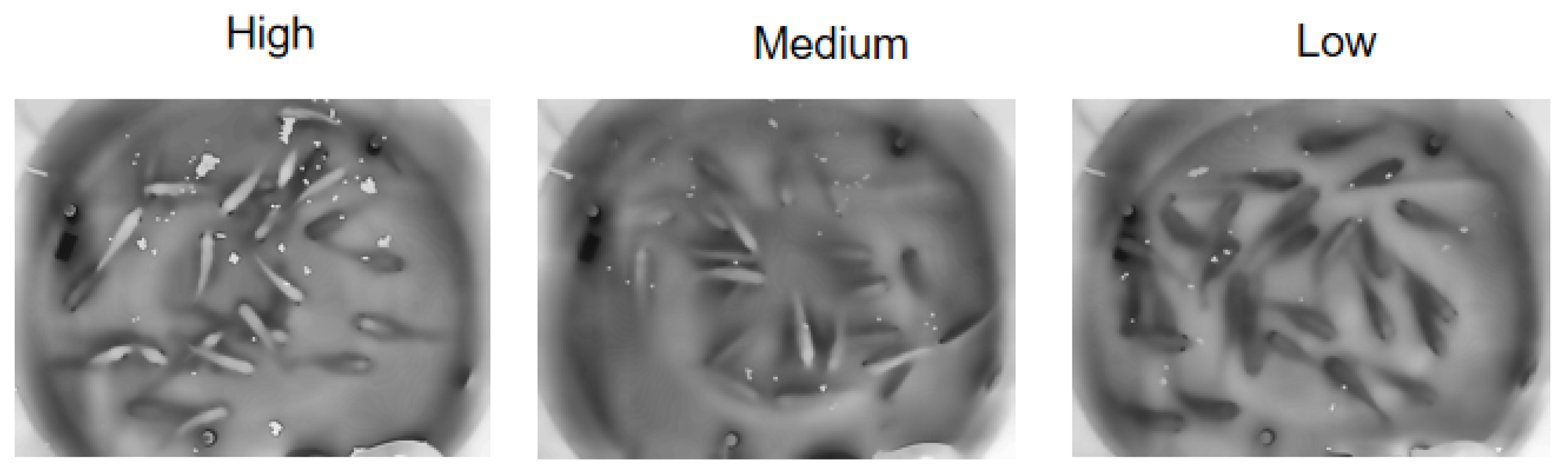 Fishes 10 00602 g004