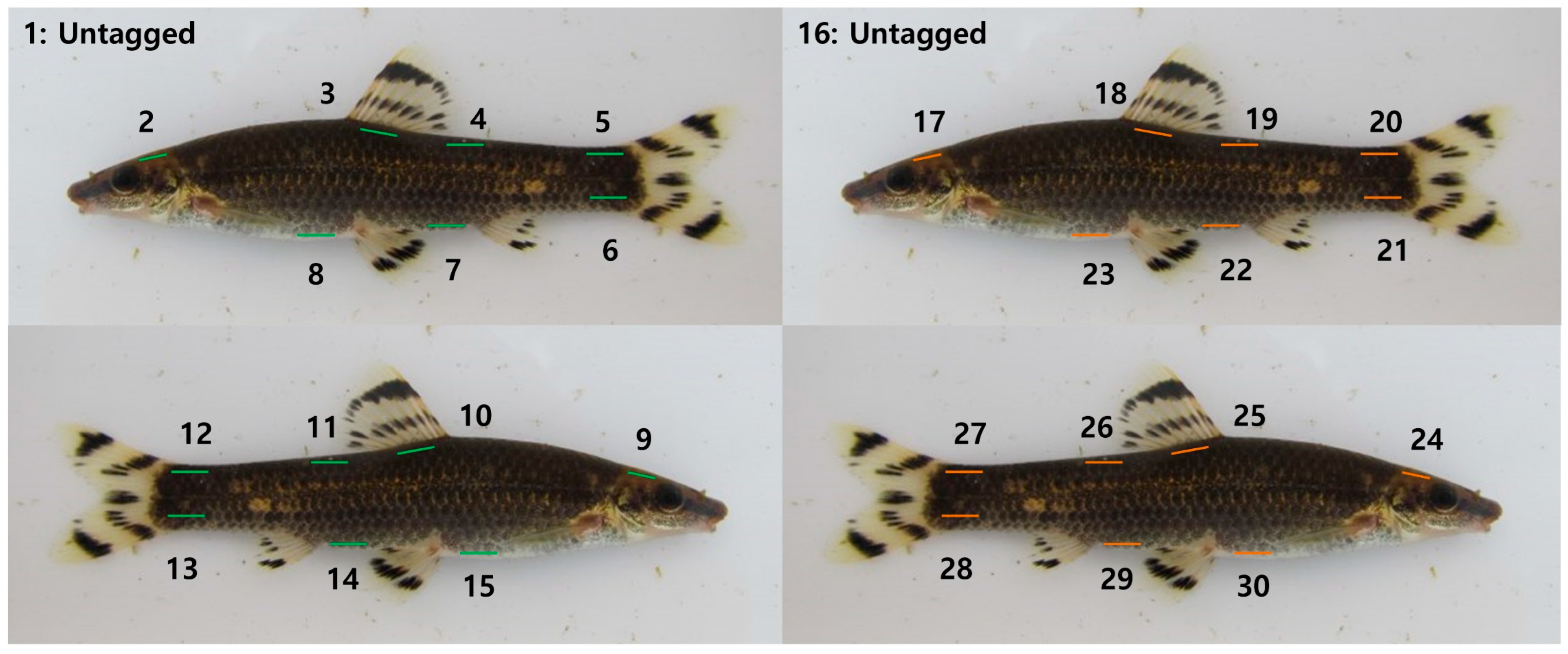 Fishes 10 00603 g002 Fishes 10 00603 g002