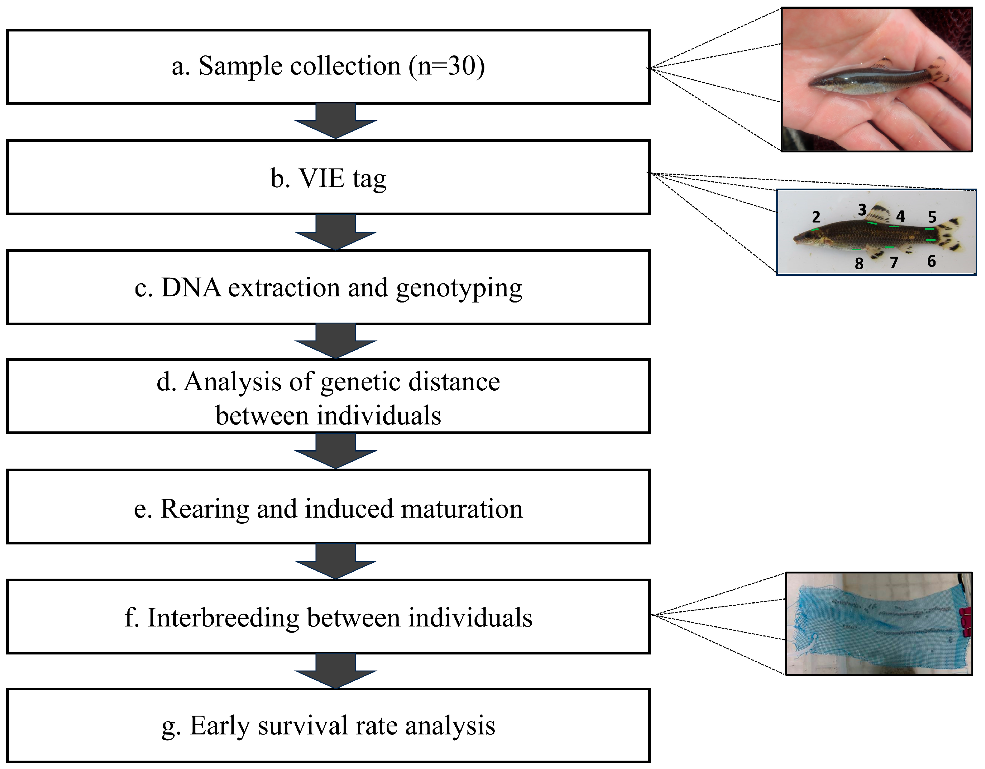 Fishes 10 00603 g003 Fishes 10 00603 g003
