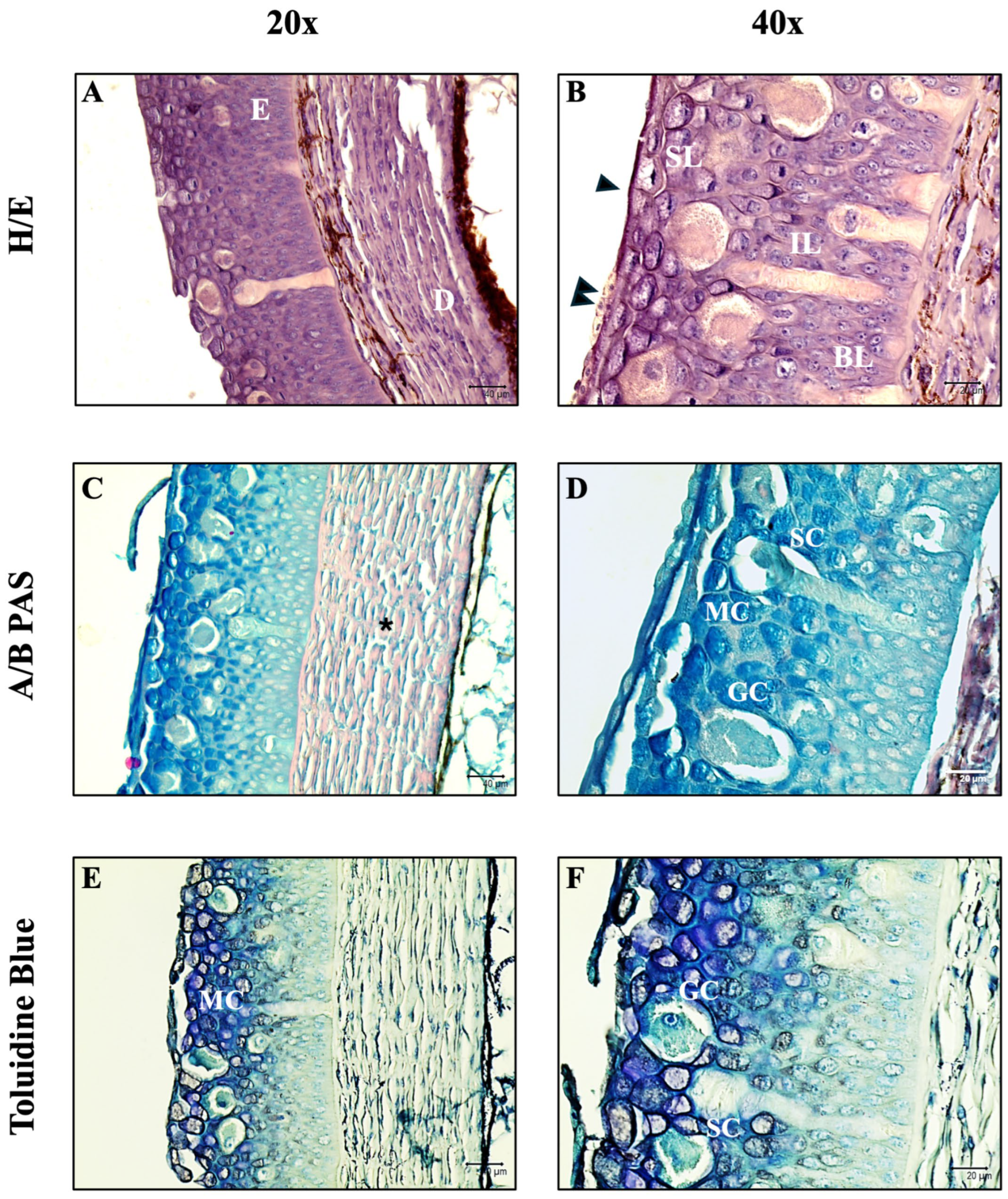 Fishes 10 00605 g001 Fishes 10 00605 g001