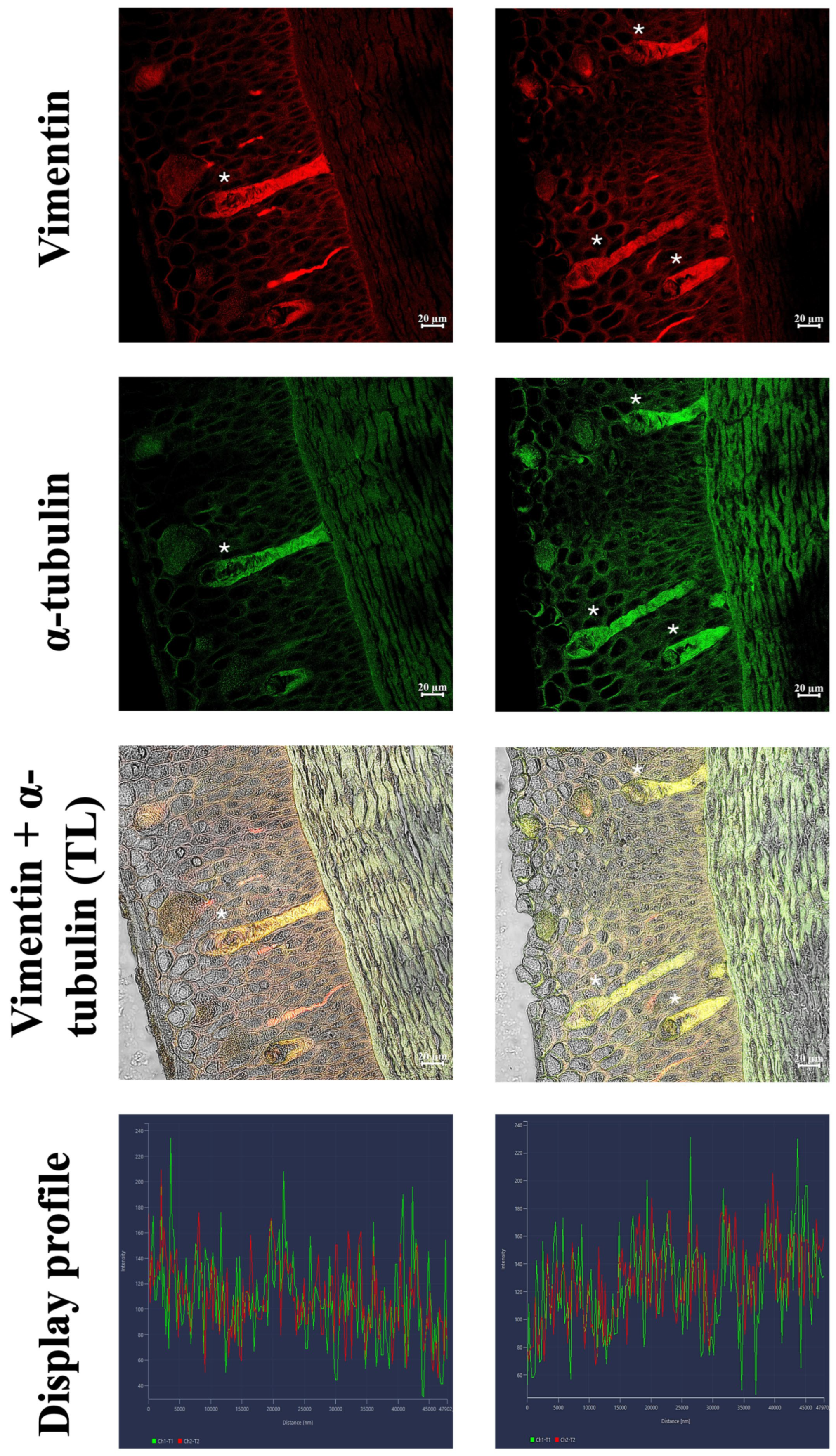 Fishes 10 00605 g002 Fishes 10 00605 g002