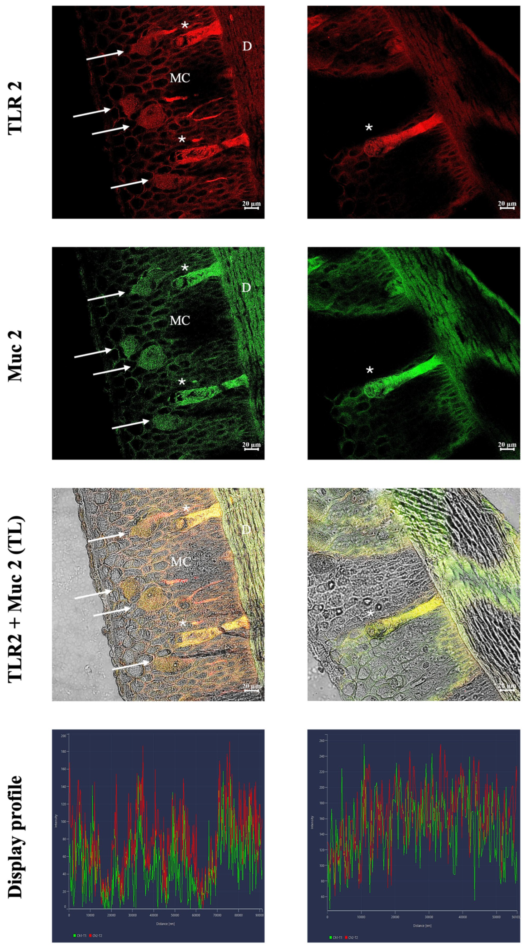 Fishes 10 00605 g003 Fishes 10 00605 g003
