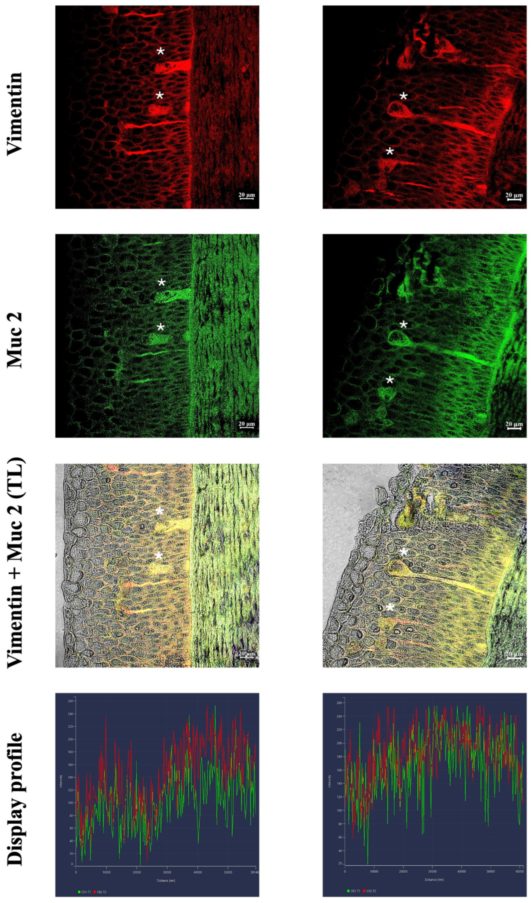 Fishes 10 00605 g004 Fishes 10 00605 g004