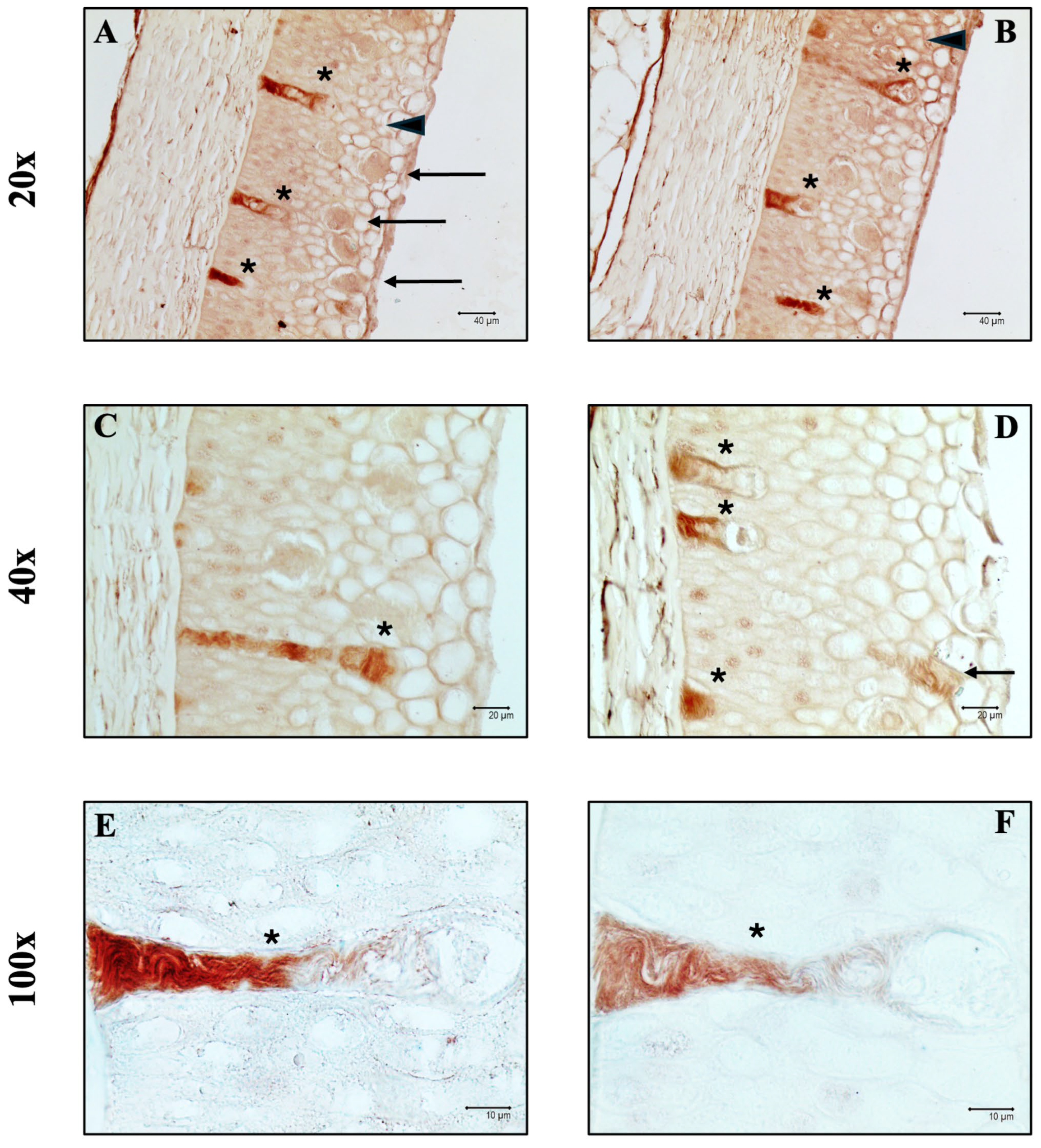 Fishes 10 00605 g005 Fishes 10 00605 g005