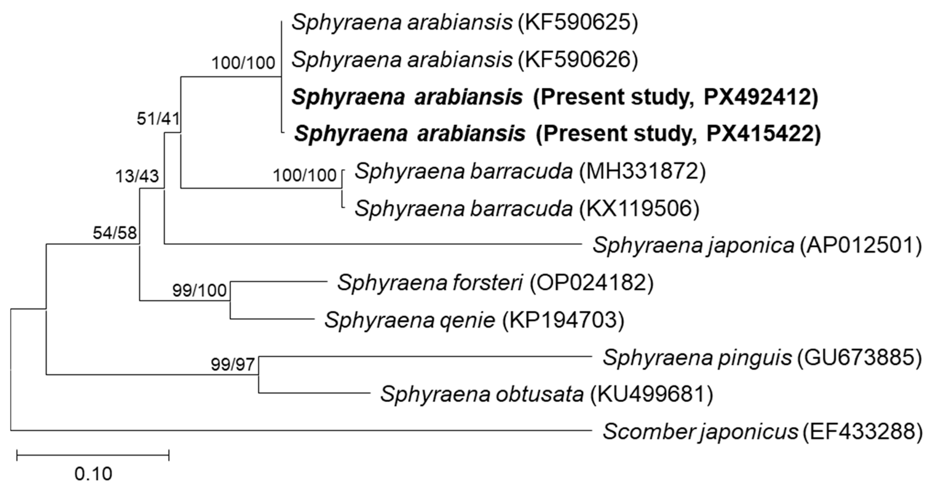 Fishes 10 00608 g004 Fishes 10 00608 g004