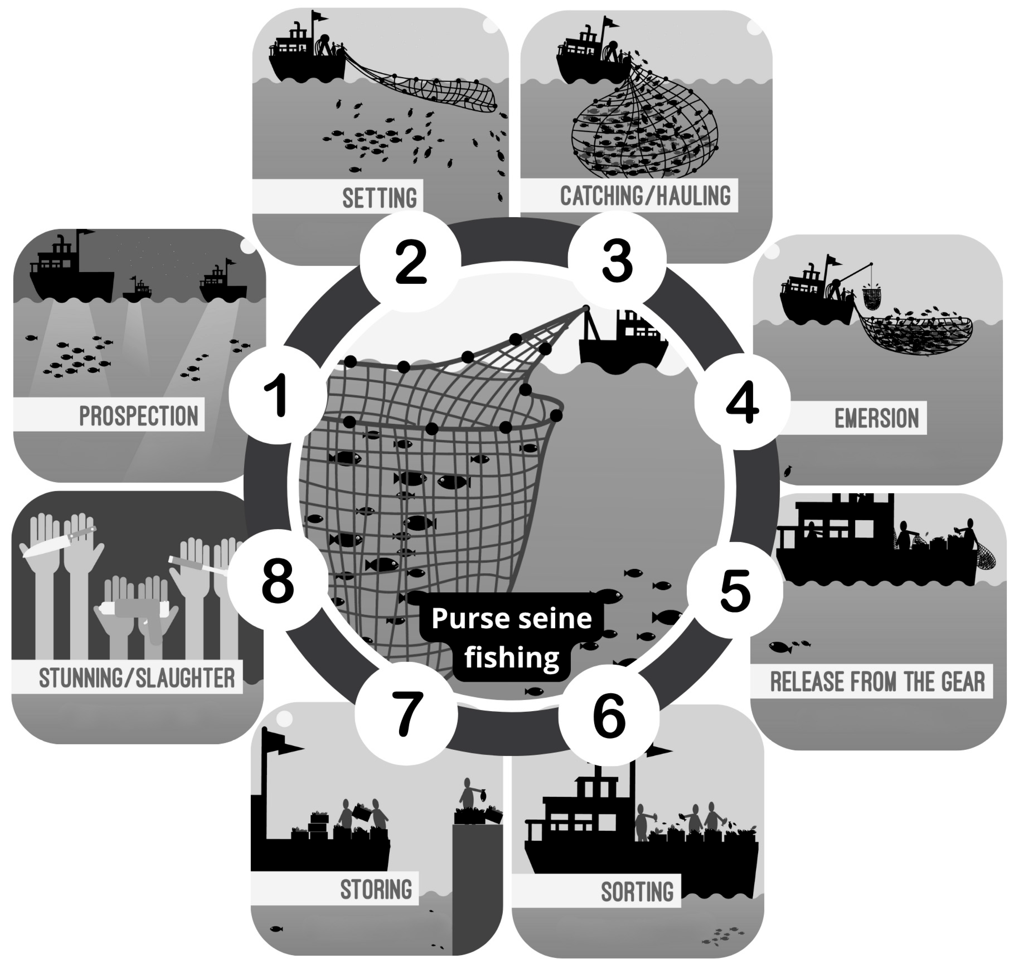 Fishes 10 00614 g001 Fishes 10 00614 g001