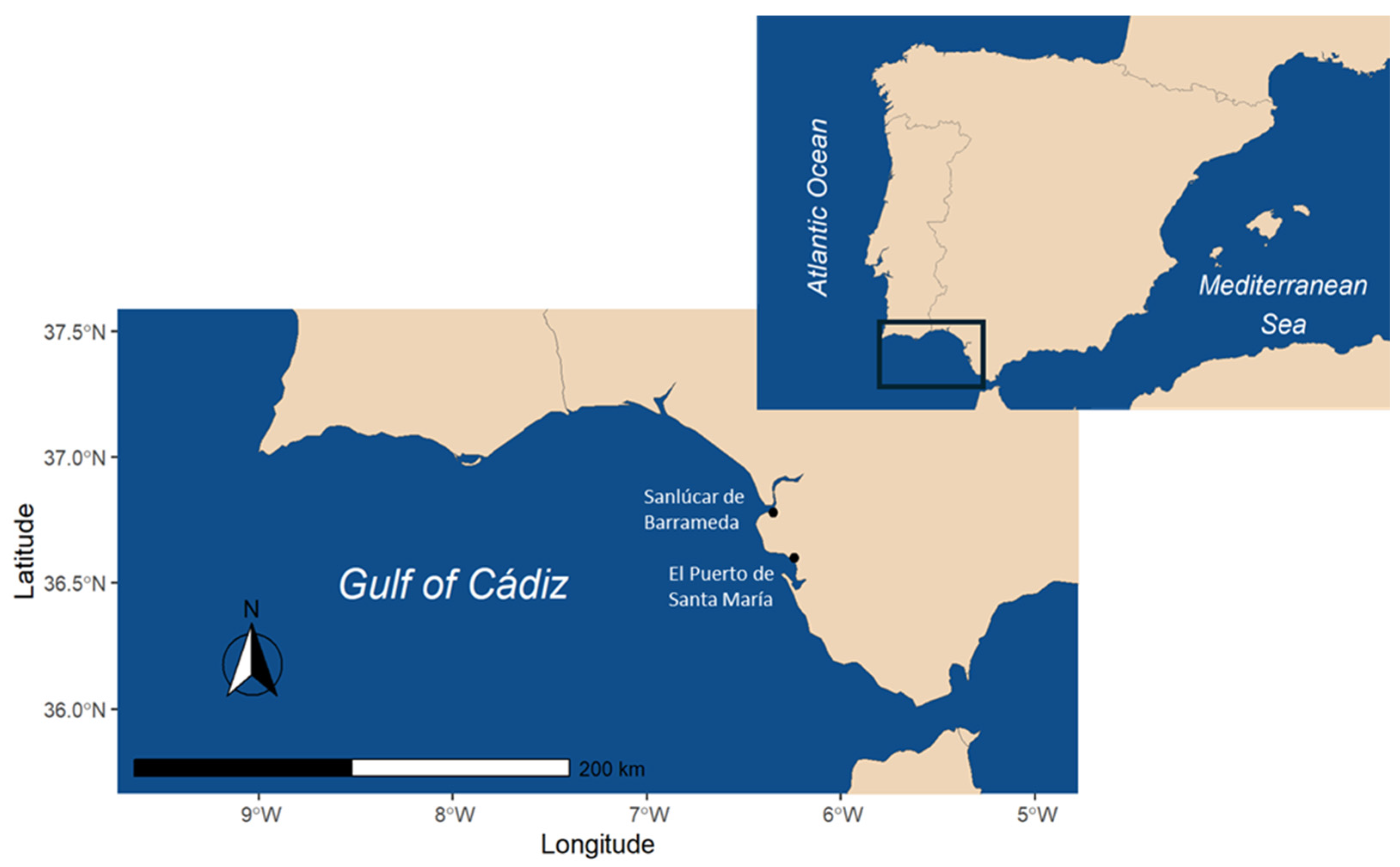 Fishes 10 00615 g001