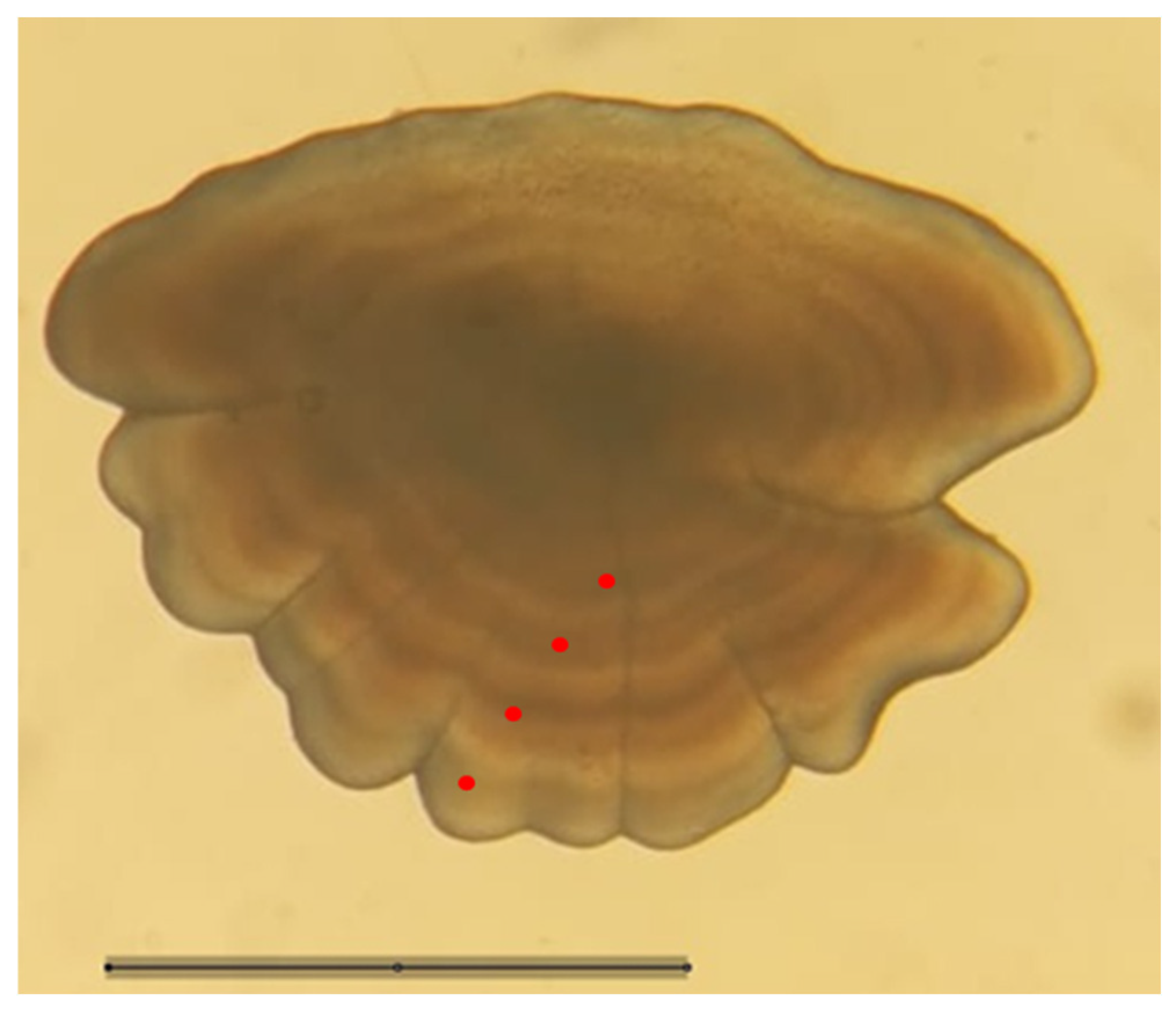 Fishes 10 00615 g002