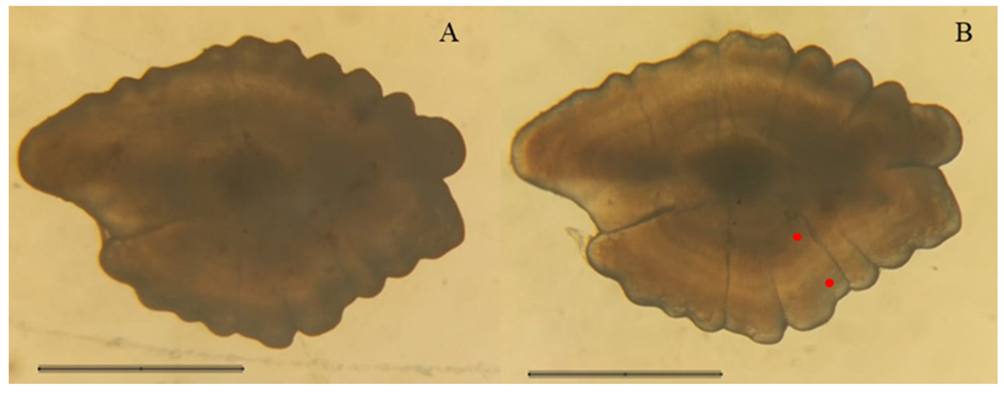 Fishes 10 00615 g003