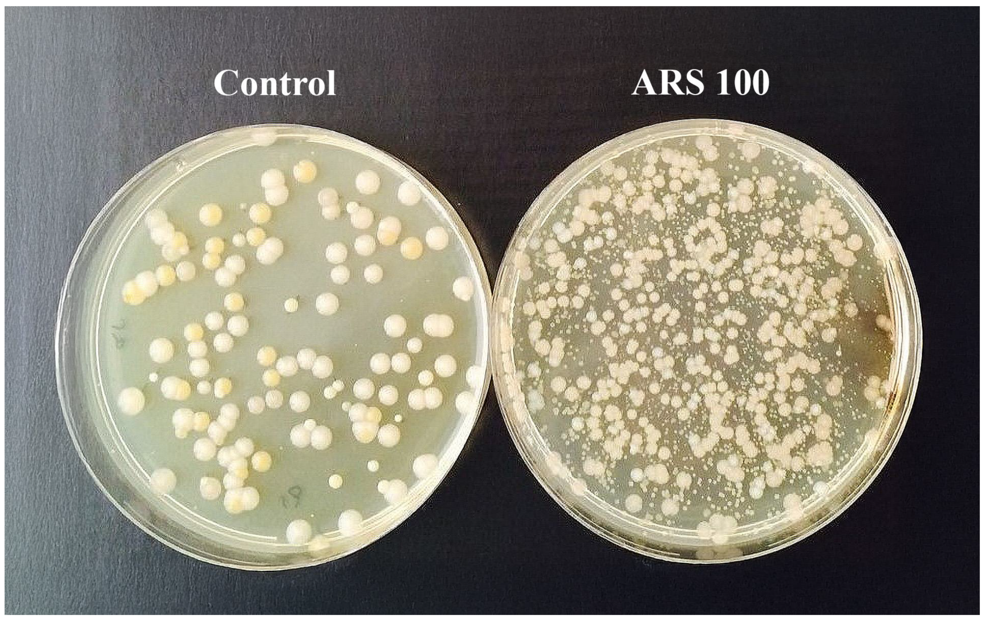 Fishes 10 00624 g001